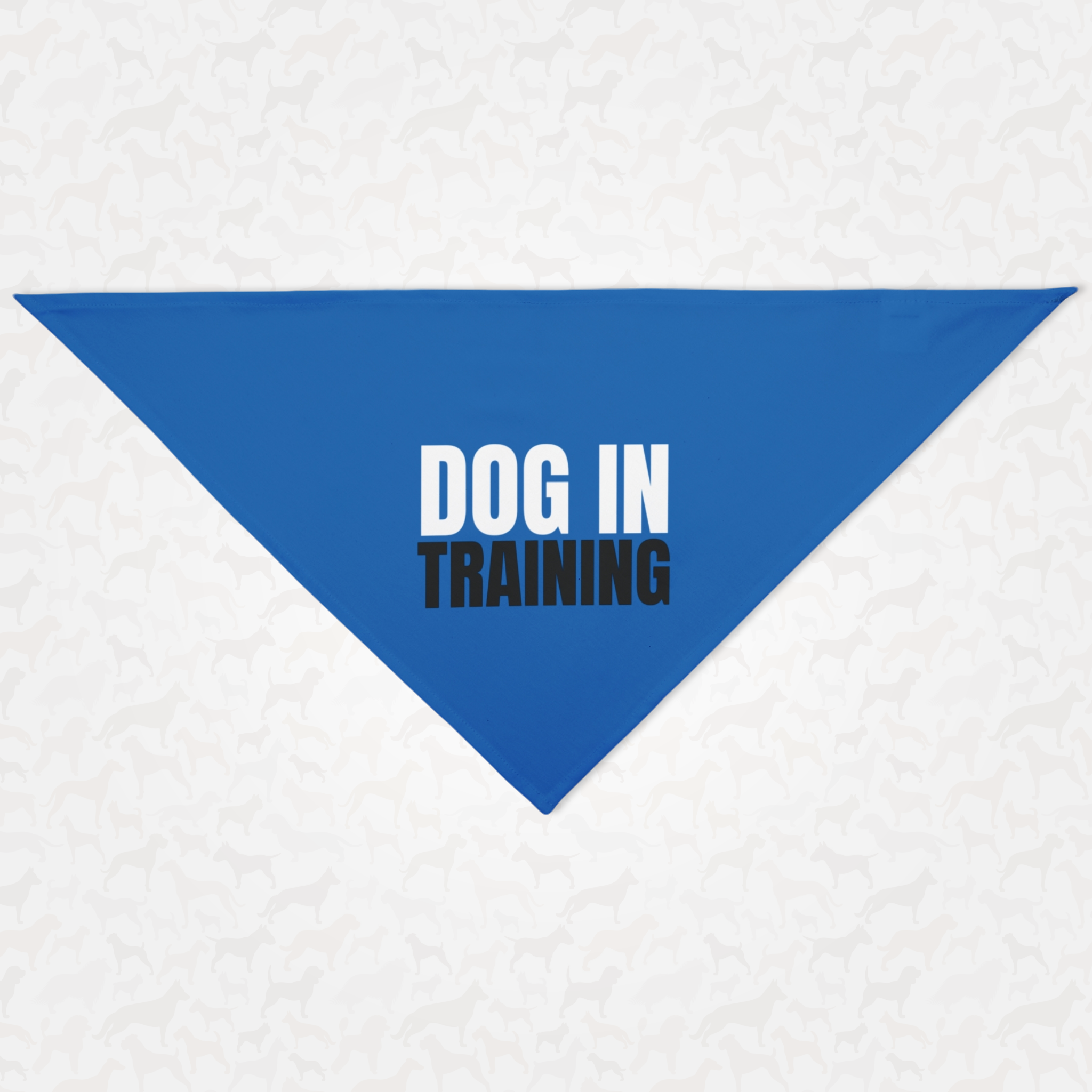 Blue dog bandana saying Dog In Training.