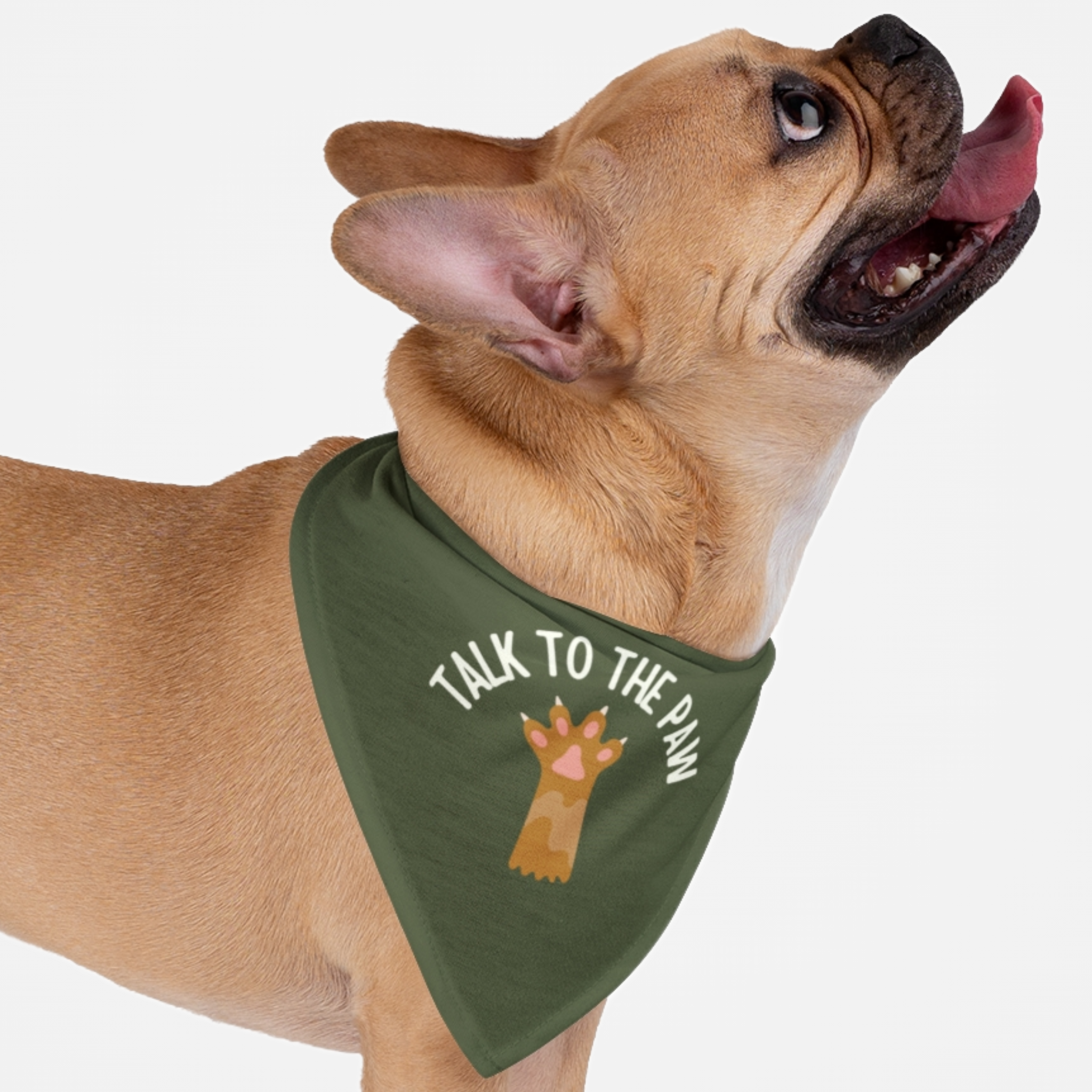 Brown French Bulldog wearing a green dog bandana with a funny "Talk To The Paw" quote printed on it.