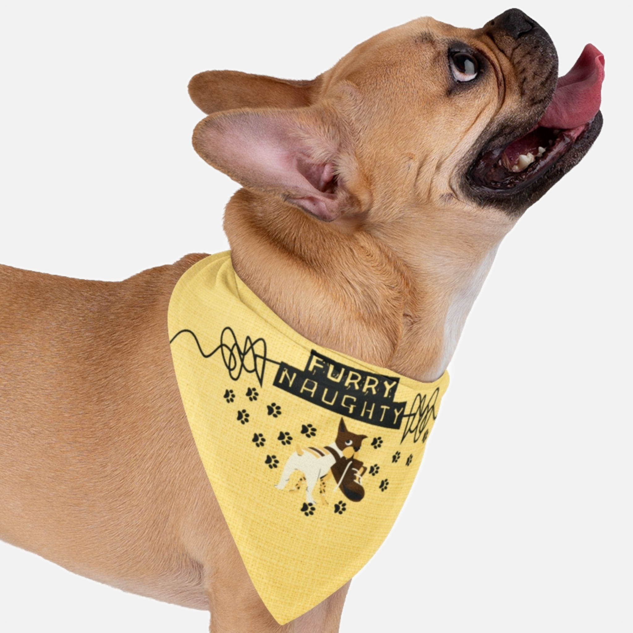 Dog wearing funny bandana featuring a naughty dog graphic and "Furry Naughty" pun quote.