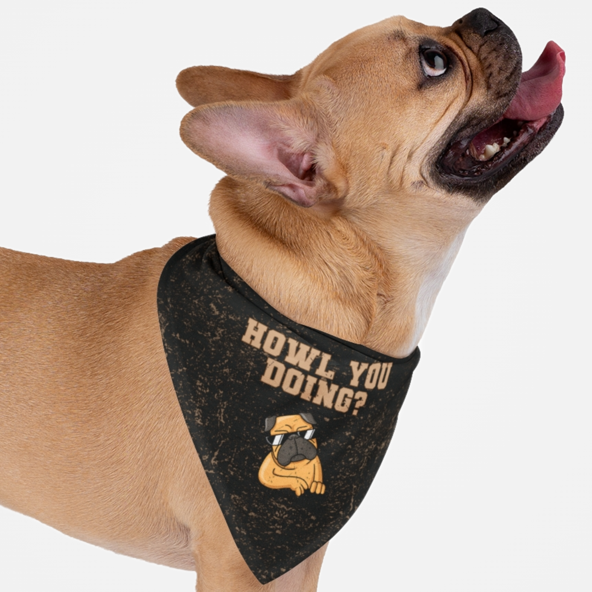Dog wearing funny bandana featuring a tough dog graphic with grunge distress effect and "Howl You Doing?" quote.