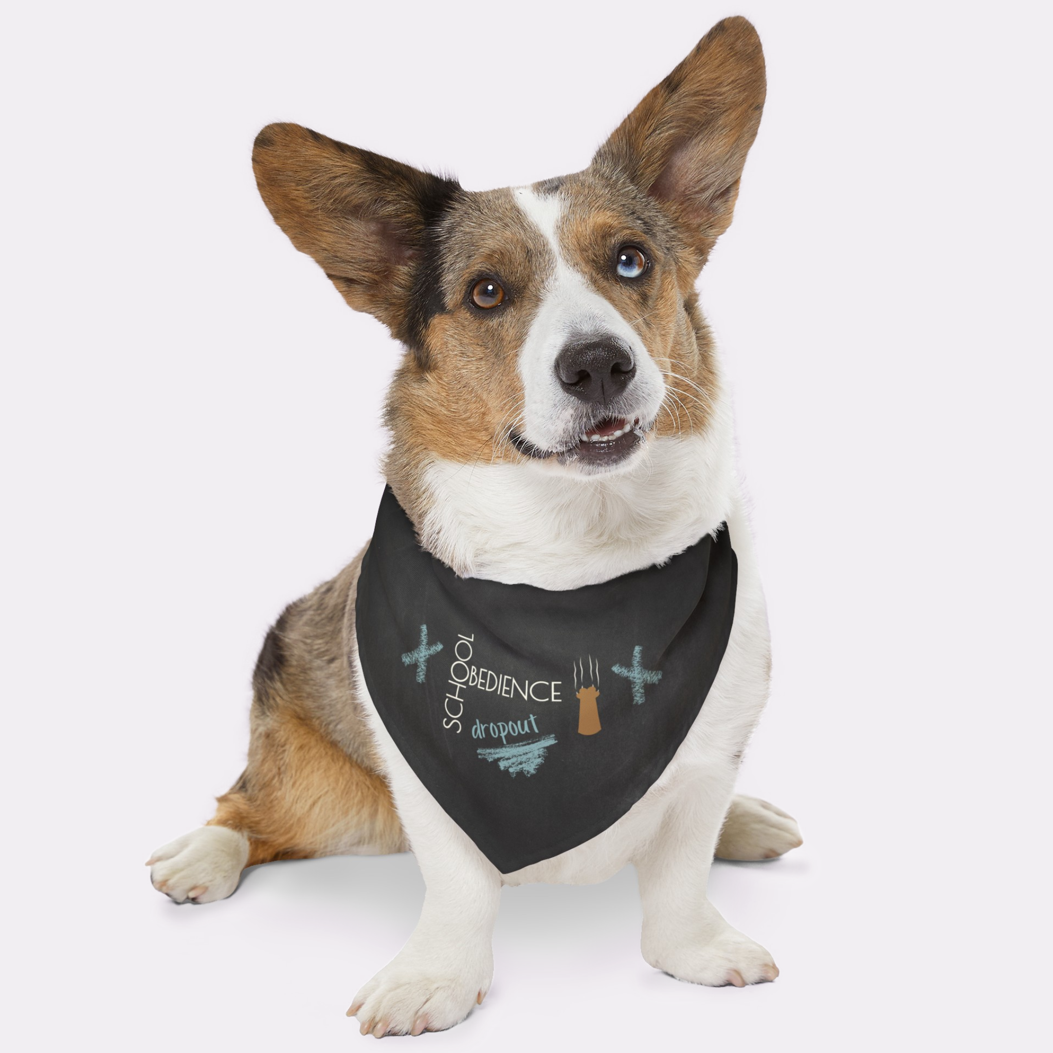 Naughty dog wearing funny bandana saying School Obedience Dropout.