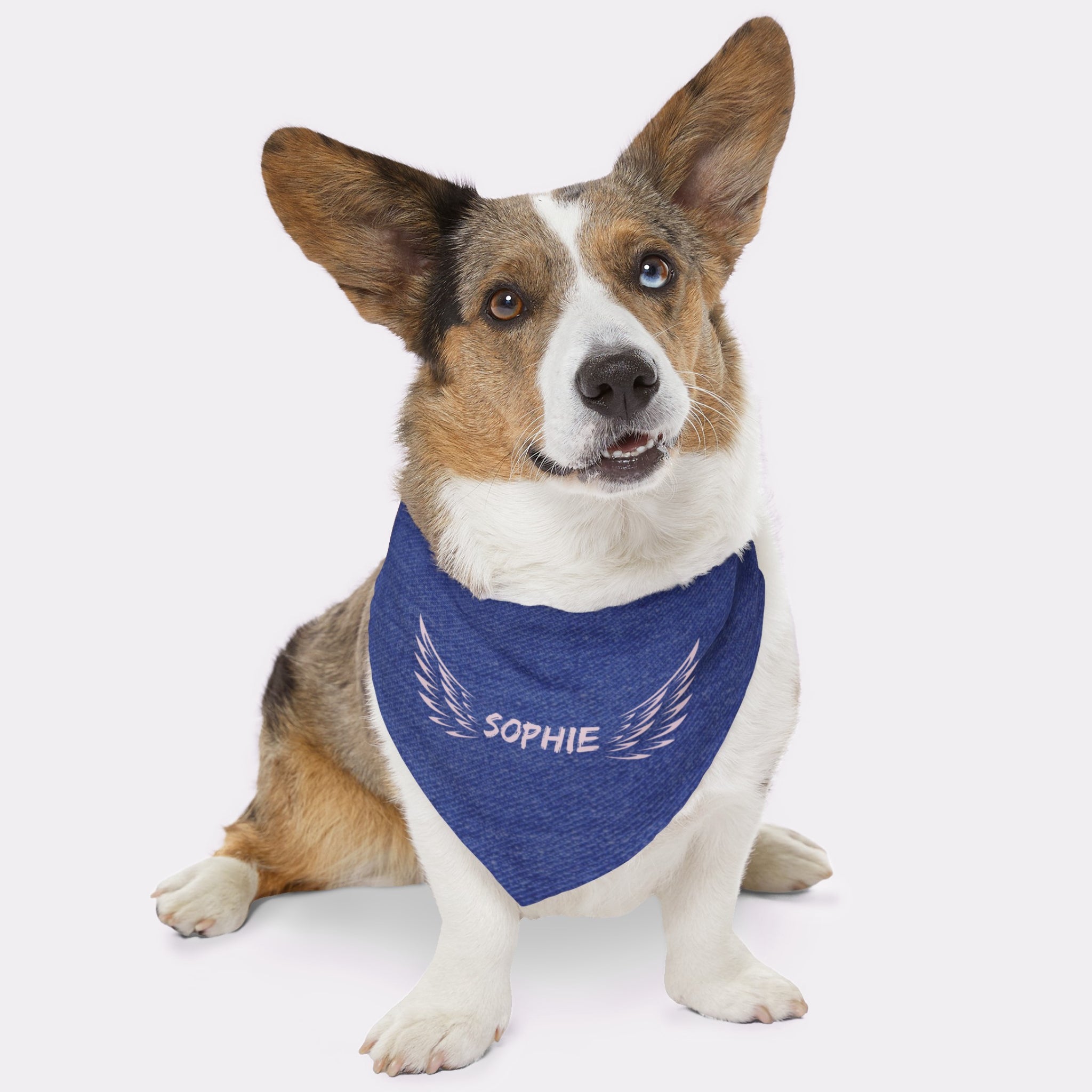 Cute dog wearing personalized bandana with custom name between angel wings on denim background print effect.