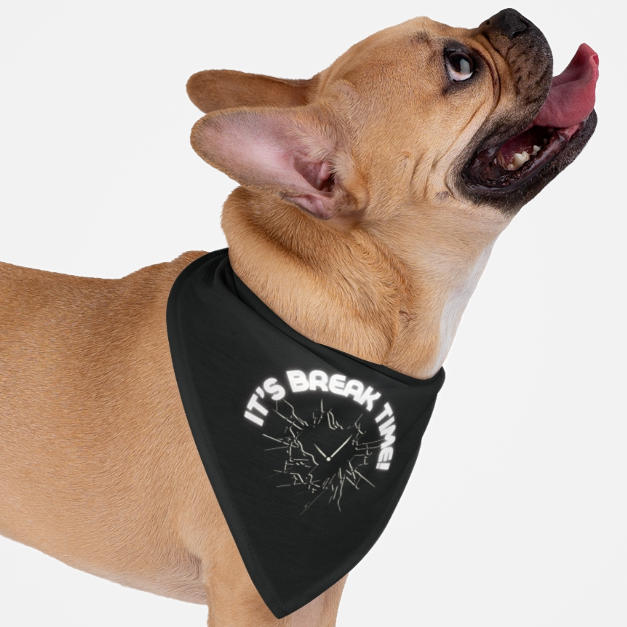 Naughty dog wearing a funny pun bandana saying It's Break Time.