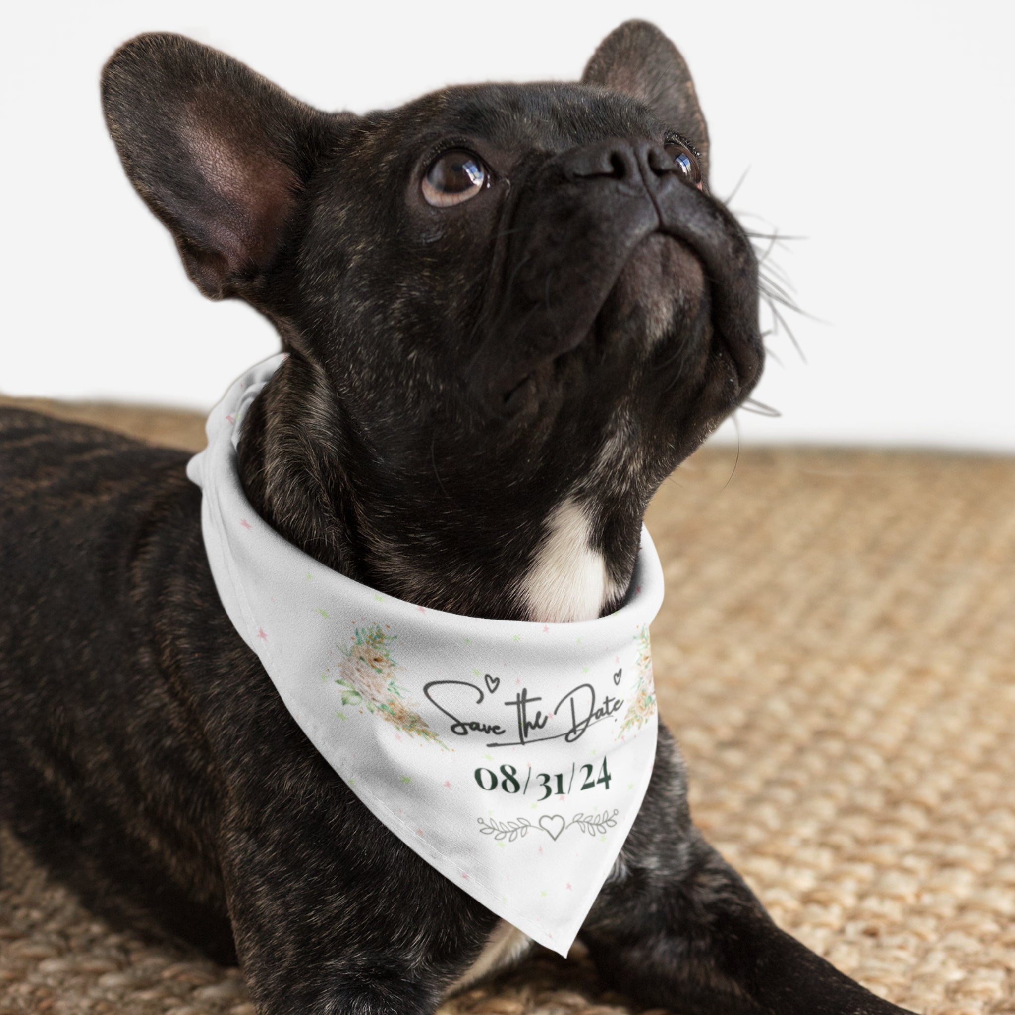 Cute dog wearing Save The Date personalized bandana with custom wedding date.