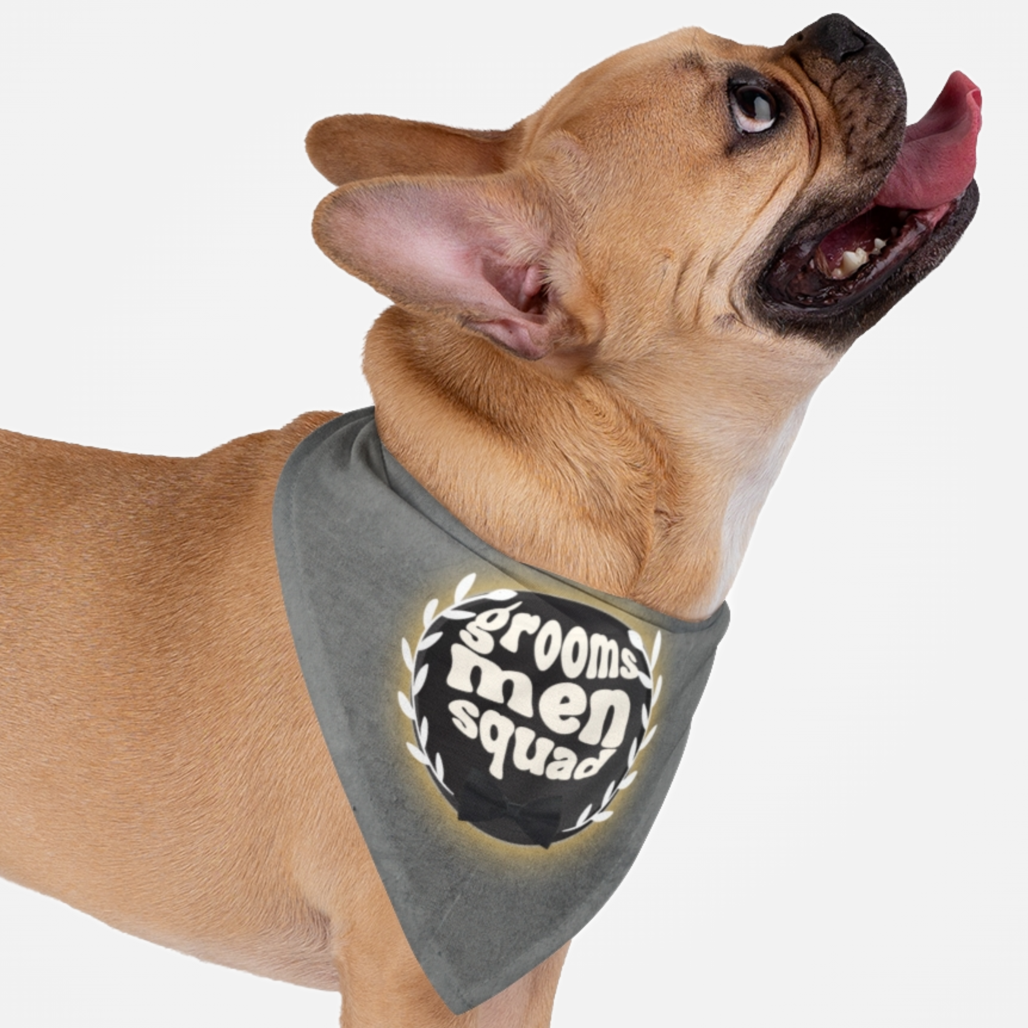 Cute dog wearing wedding bandana saying Groomsmen Squad.