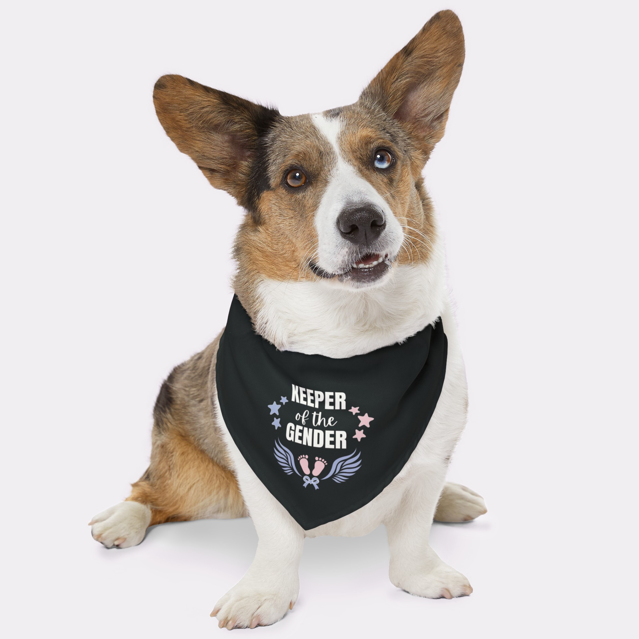 Cute dog with pregnancy announcement bandana for gender reveals saying Keeper Of The Gender.