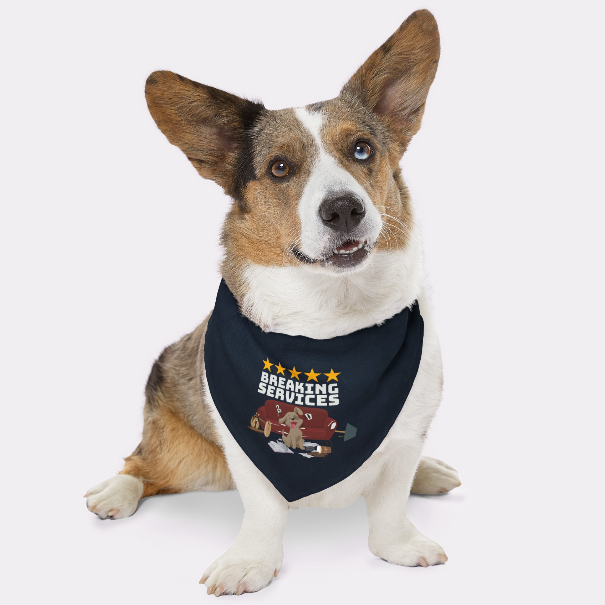 Cute mischievous dog wearing a funny bandana saying Breaking Services.