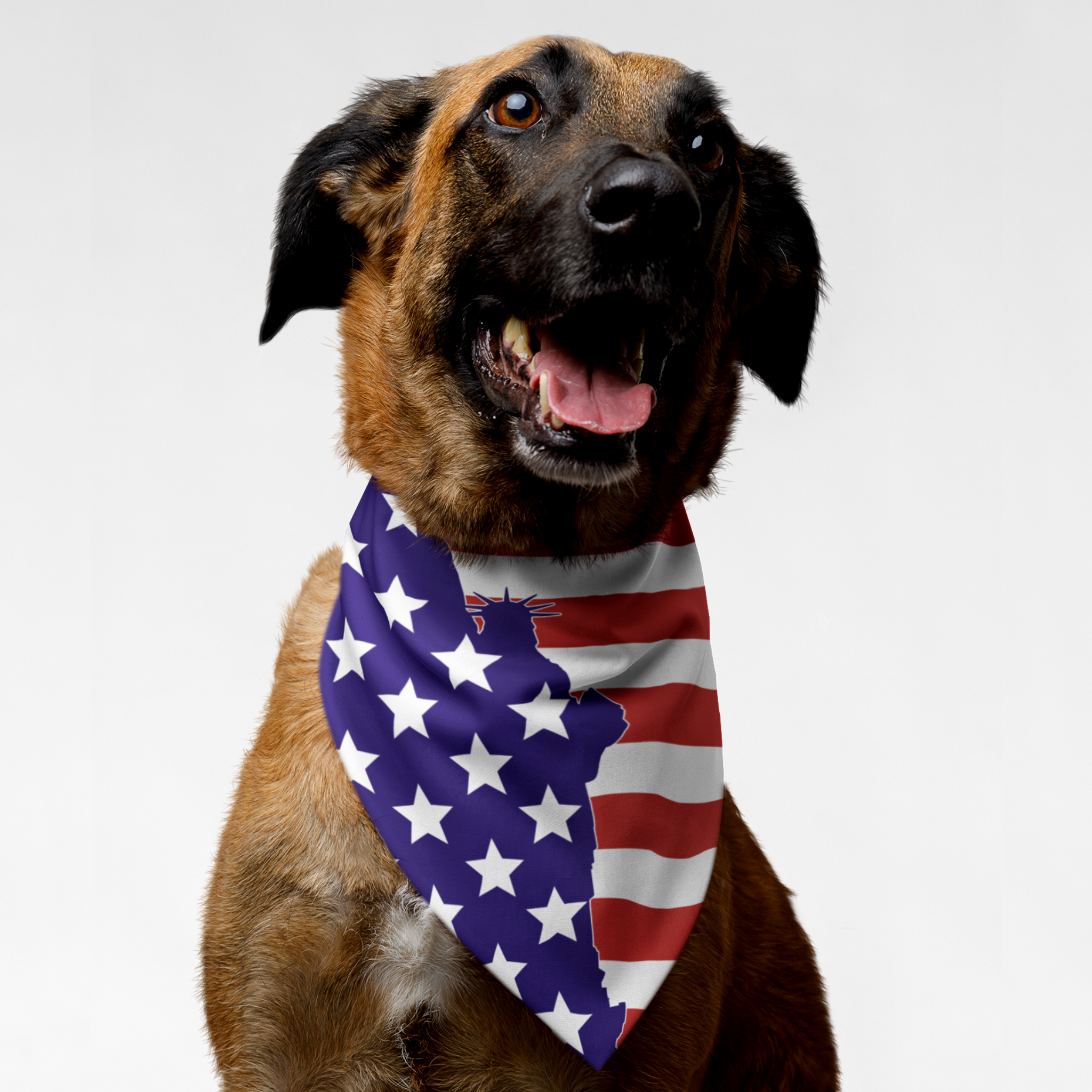 Dog wearing American flag bandana featuring the Statue of Liberty.