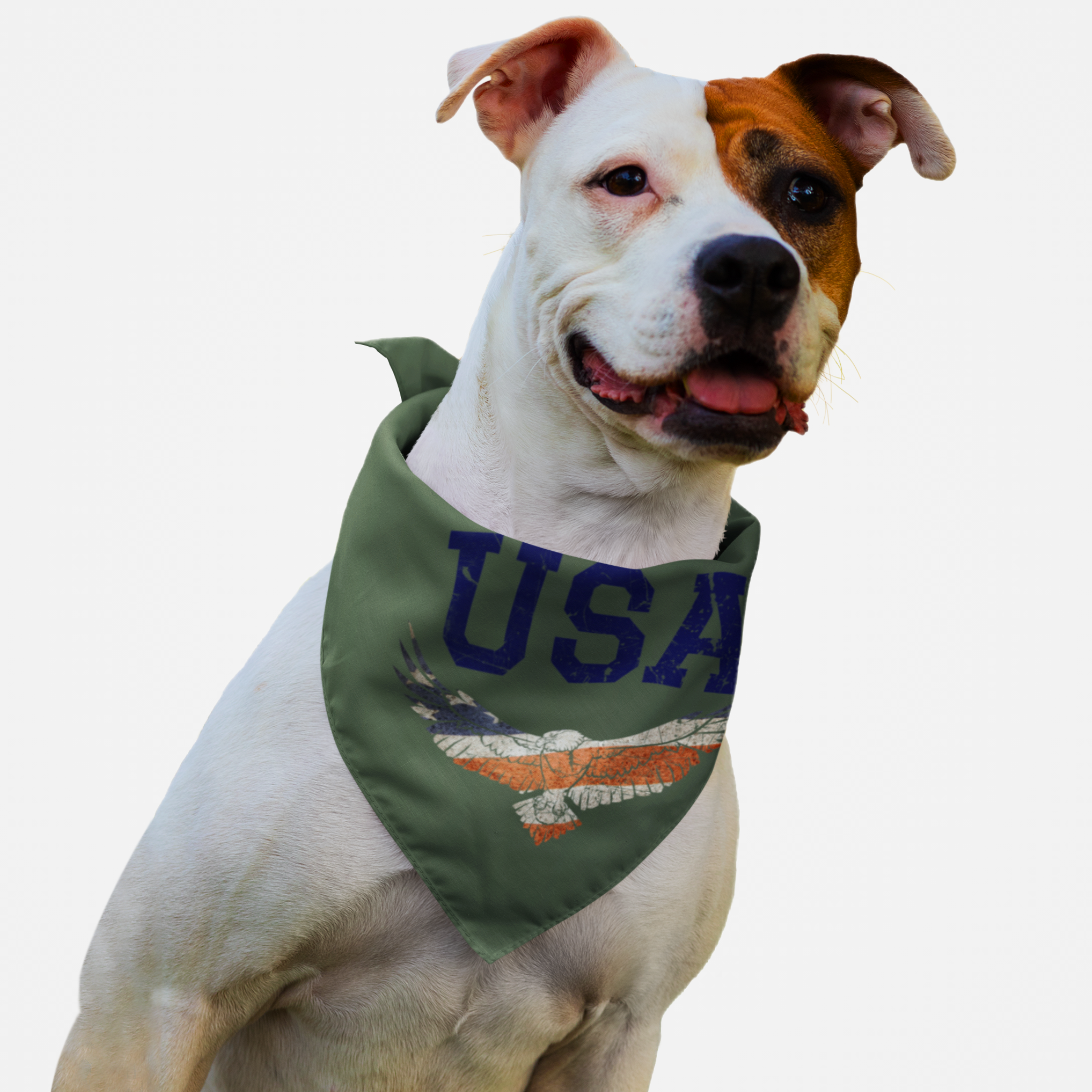 Dog wearing army green USA bandana featuring American flag on bald eagle.