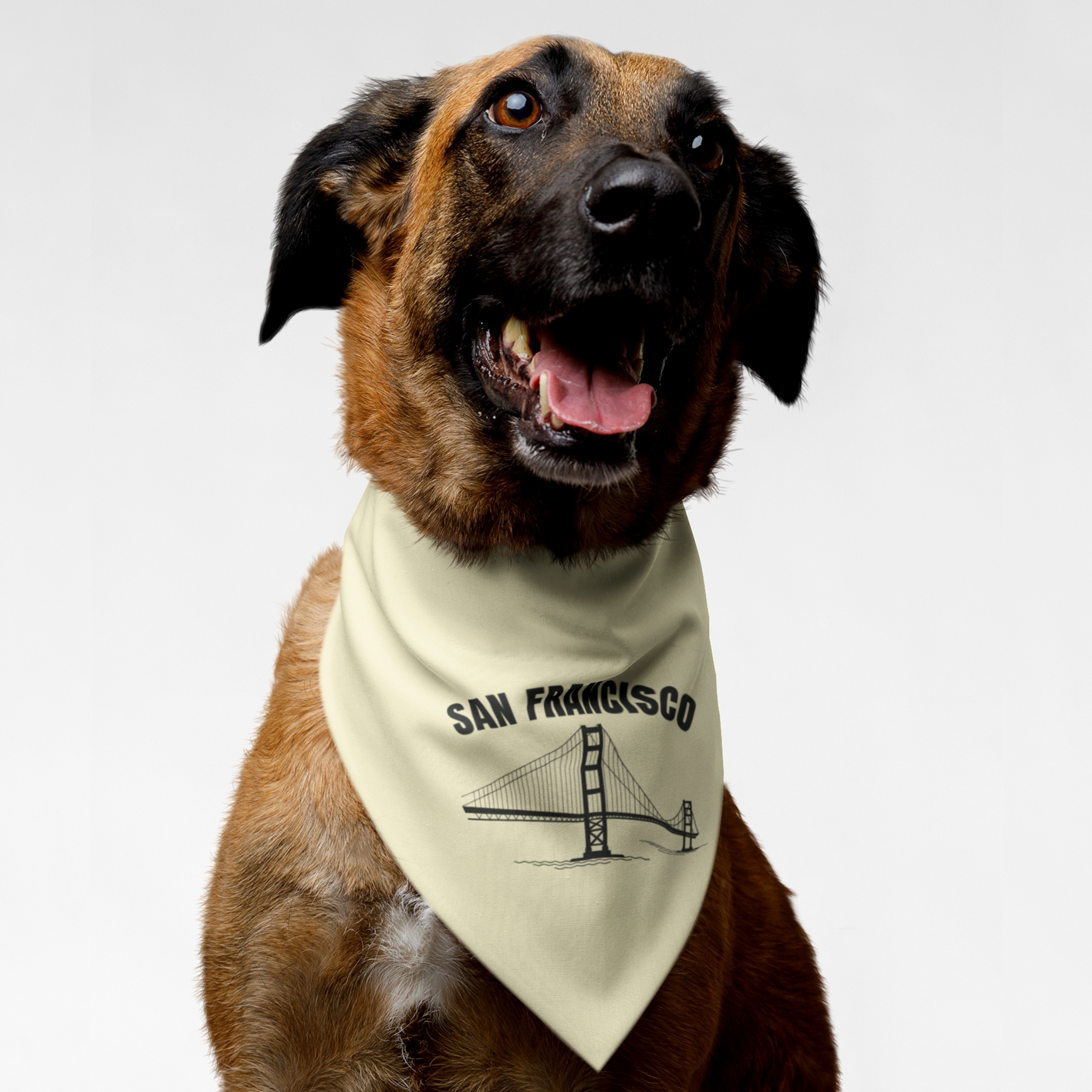 Dog wearing bandana saying "San Francisco" along with a Golden Gate Bridge graphic.