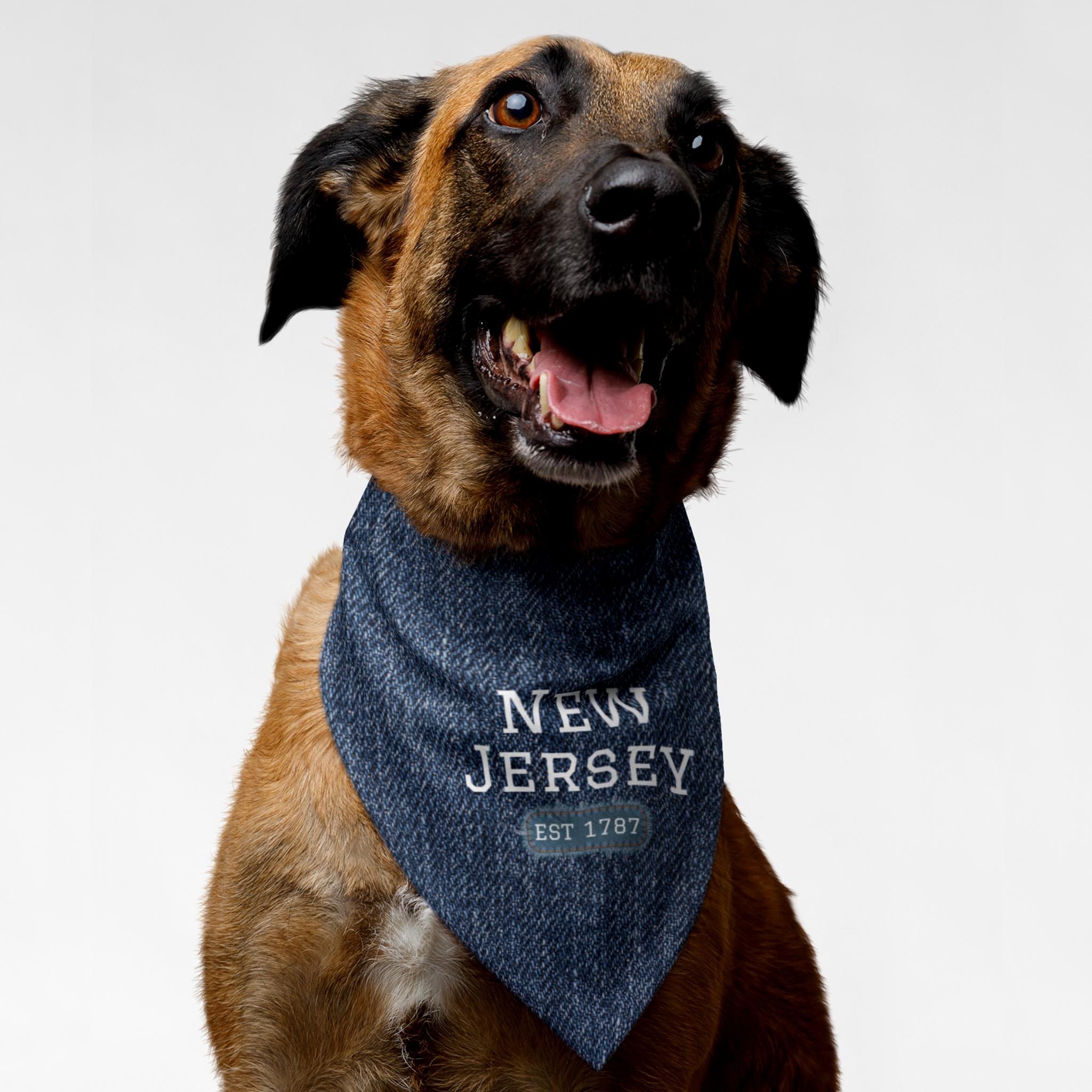 Dog wearing bandana with denim style print saying New Jersey Est 1787.