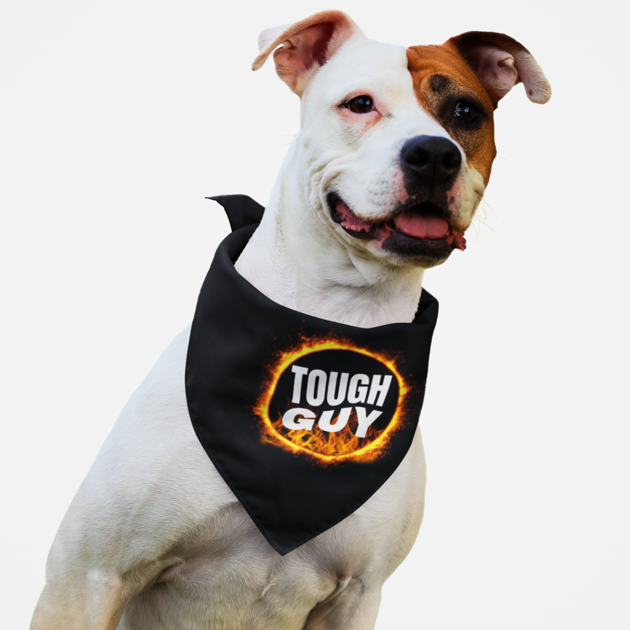 Pitbull wearing dog bandana with fire graphic and "Tough Guy" text.