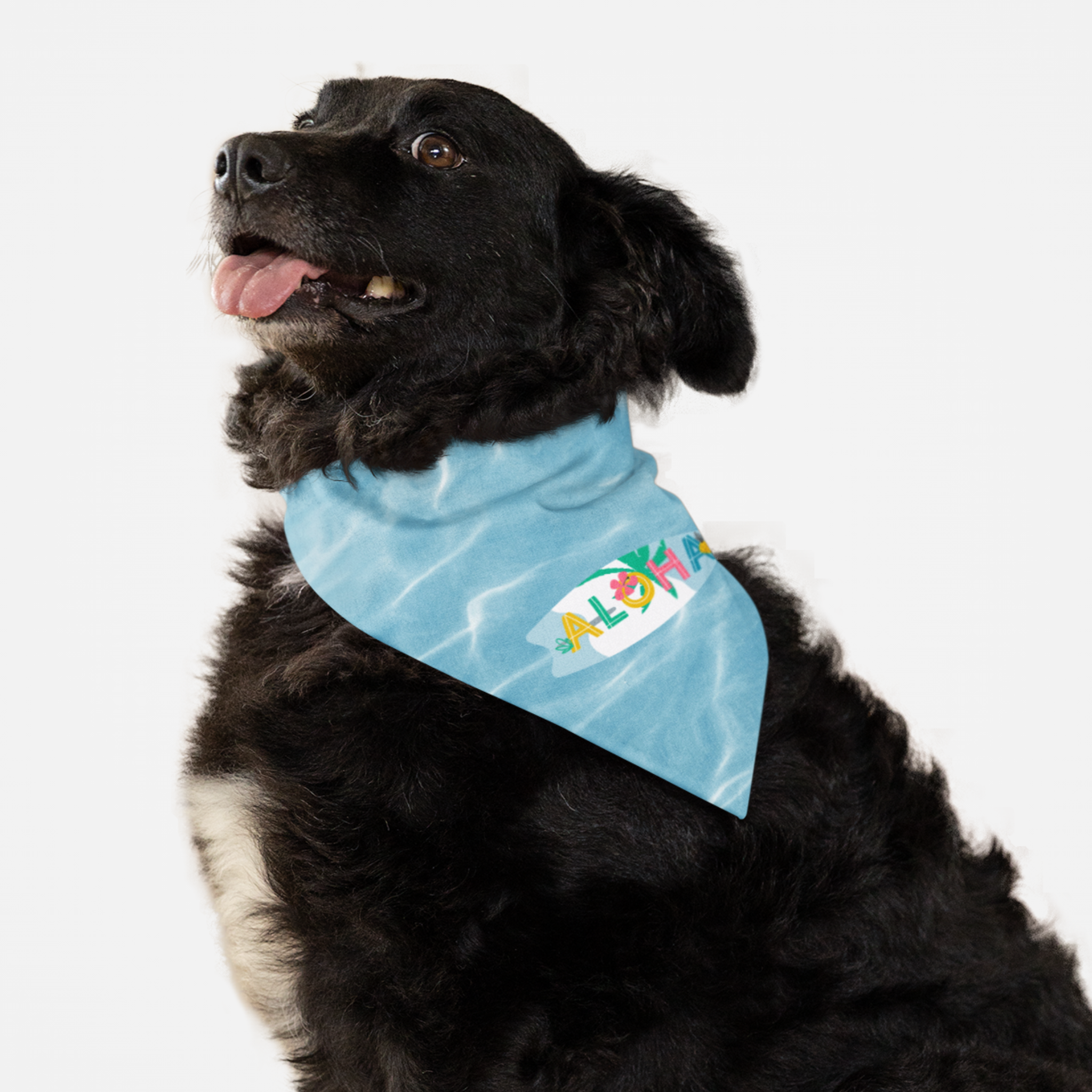 Dog wearing bandana with sea background print and Aloha text on a surfboard perfect for travel and vacation.