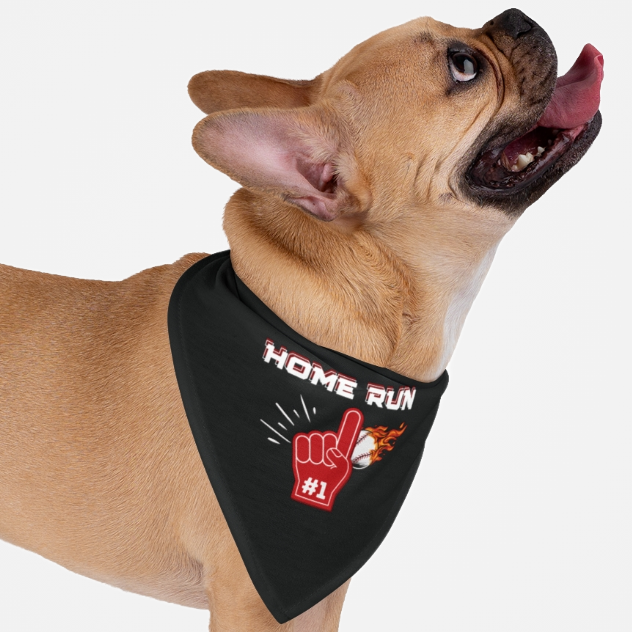 Dog wearing baseball bandana saying Home Run.
