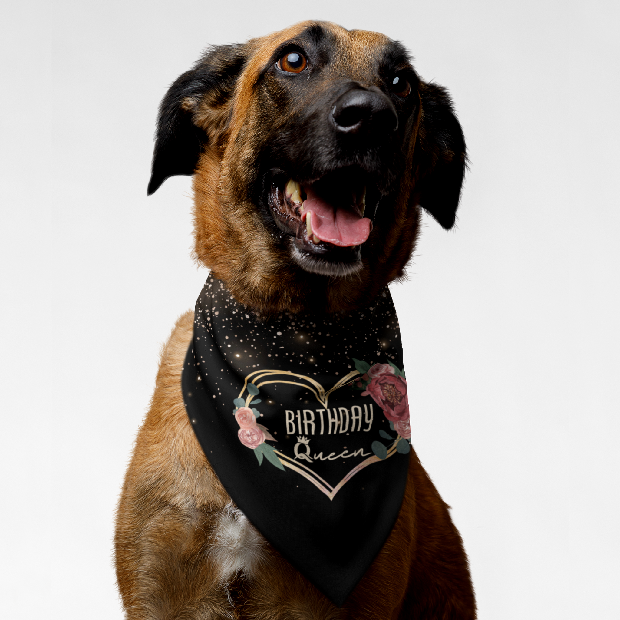 Dog wearing birthday bandana with flowers and glitter saying Birthday Queen.