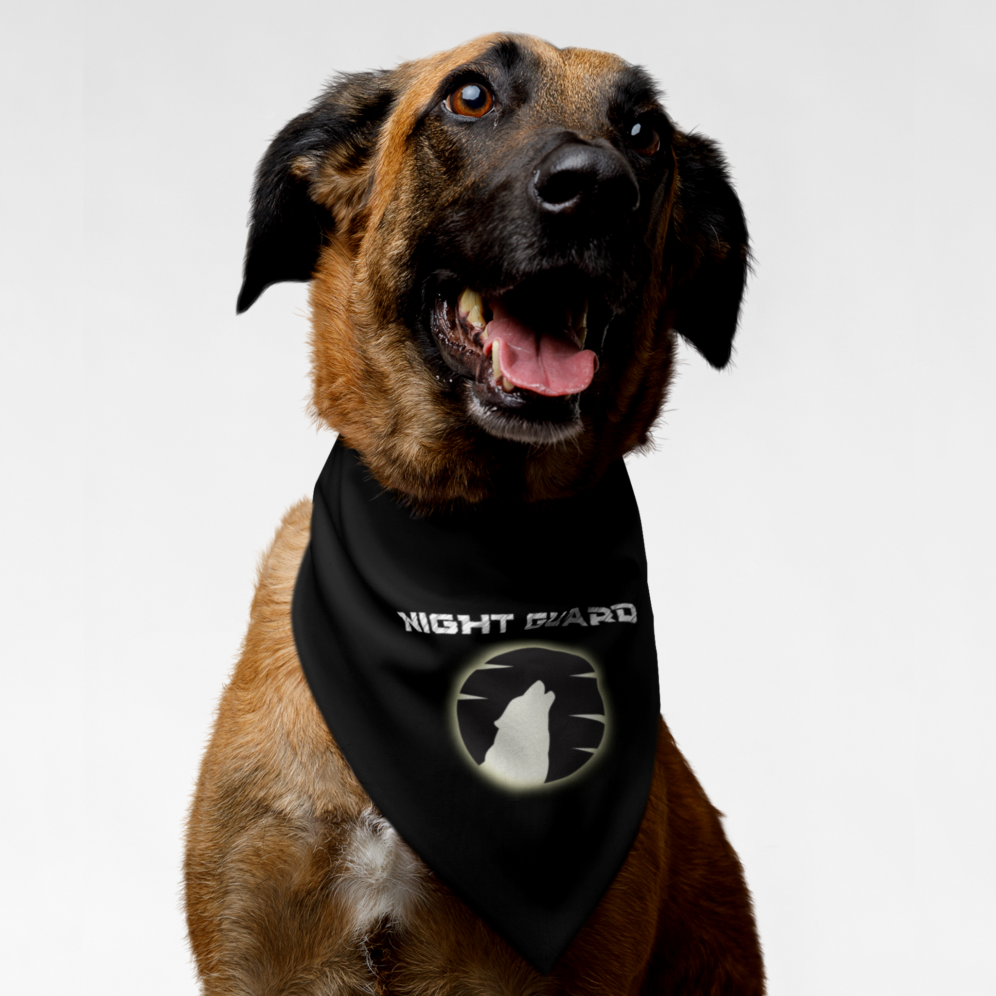 Dog wearing black bandana saying Night Guard.