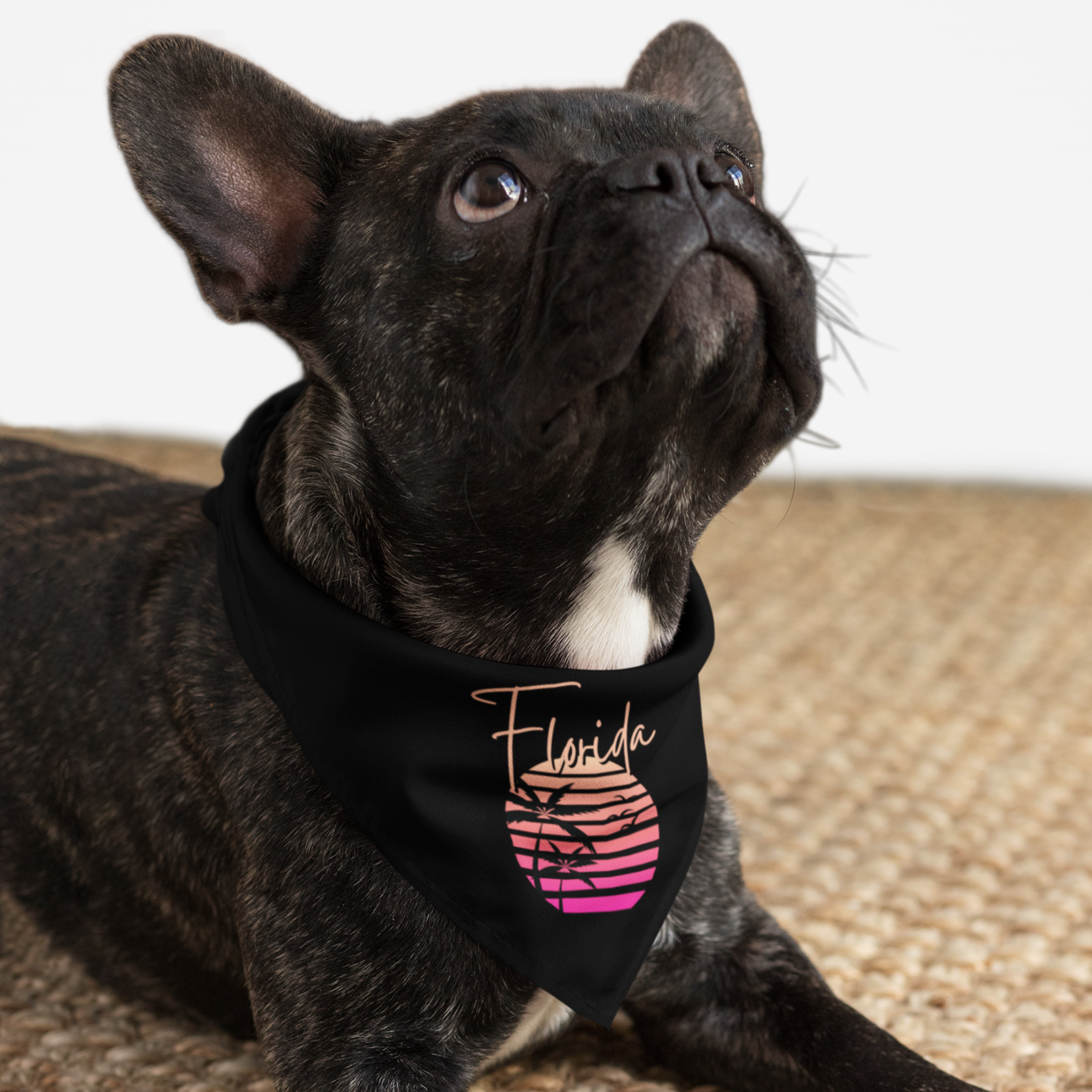 Dog wearing black bandana with retro palm tree sunset graphic saying "Florida" in cursive font style.