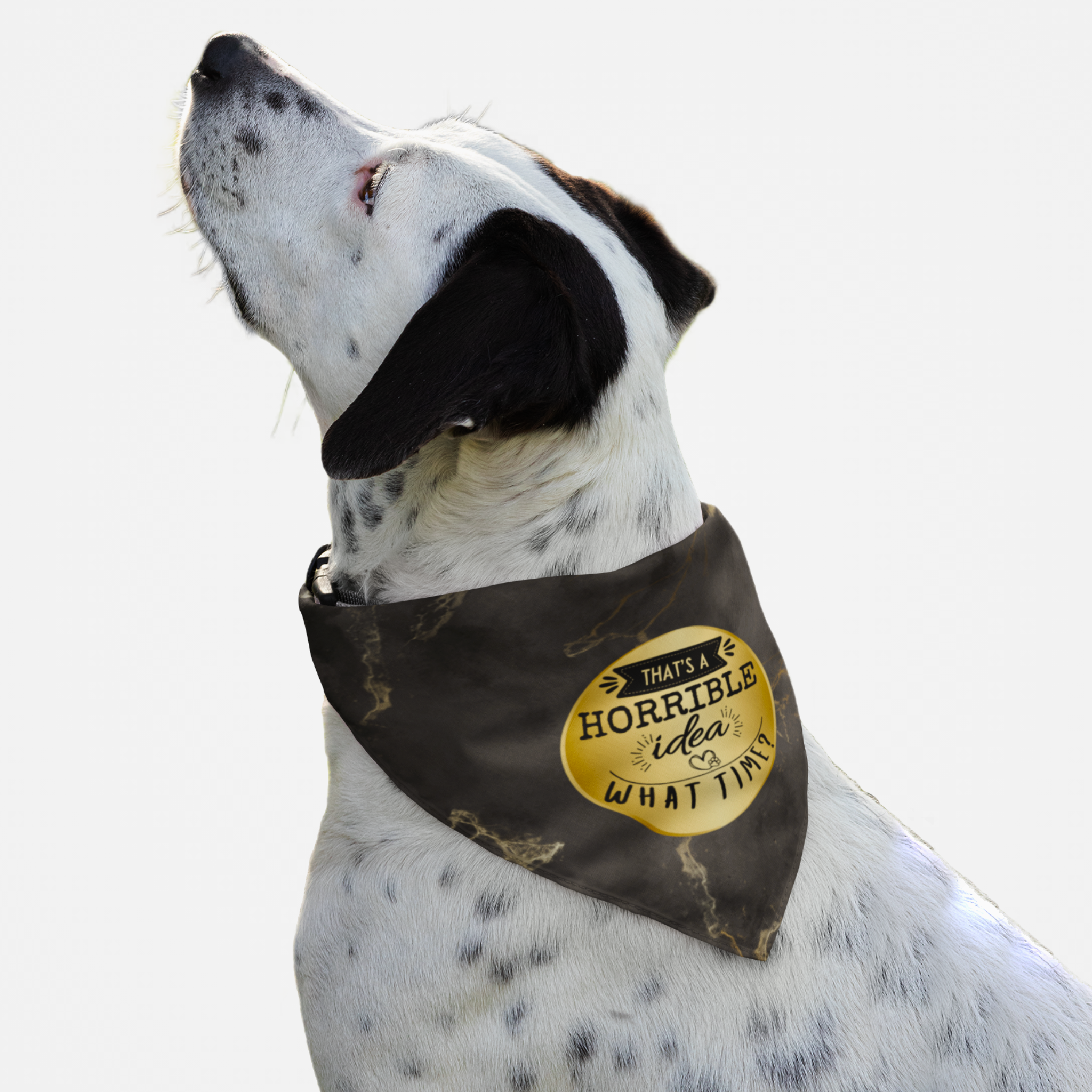 Dog wearing black bandana with "That's a Horrible Idea. What Time?" funny quote on a gold circle badge.