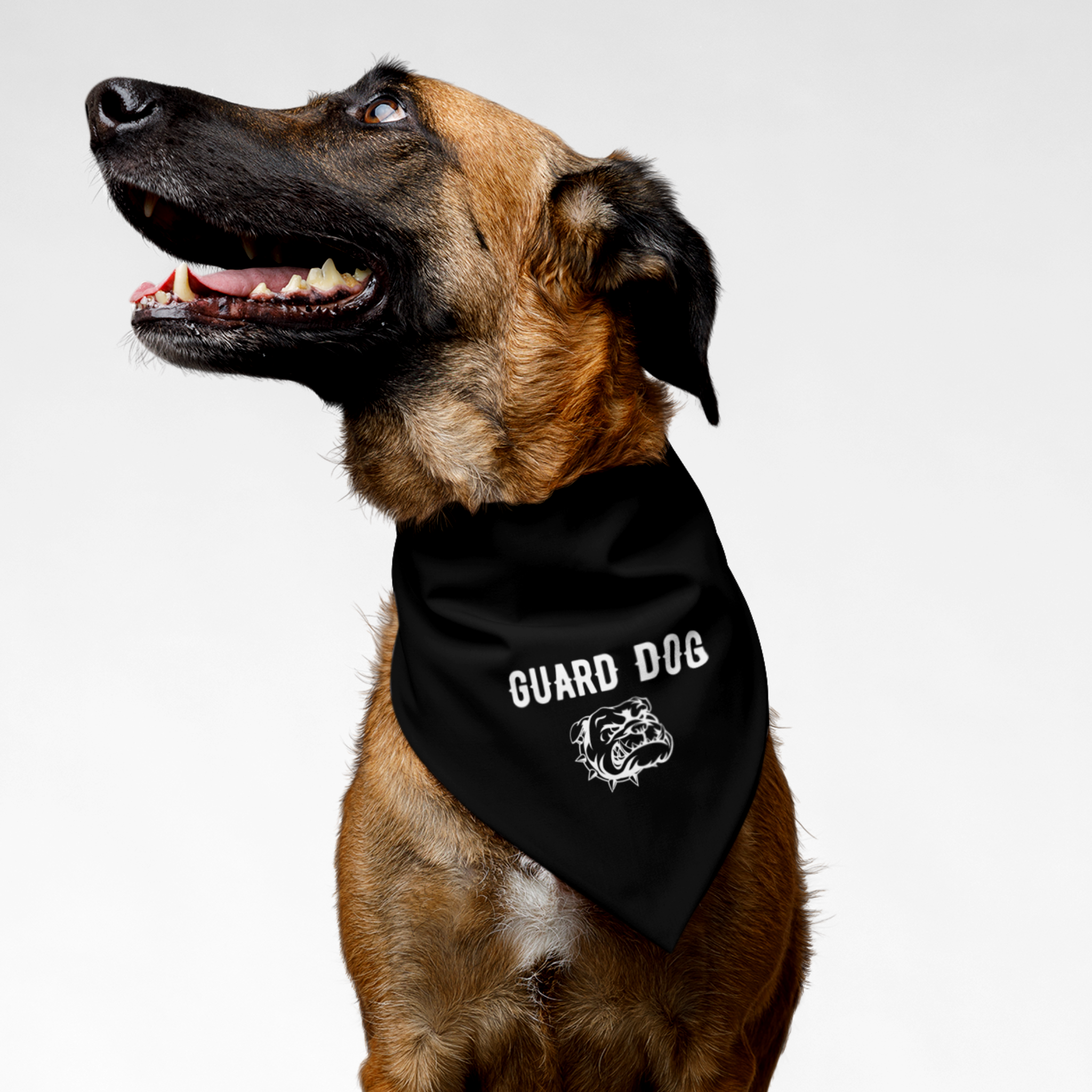 Dog wearing black bandana with tough guard dog graphic.