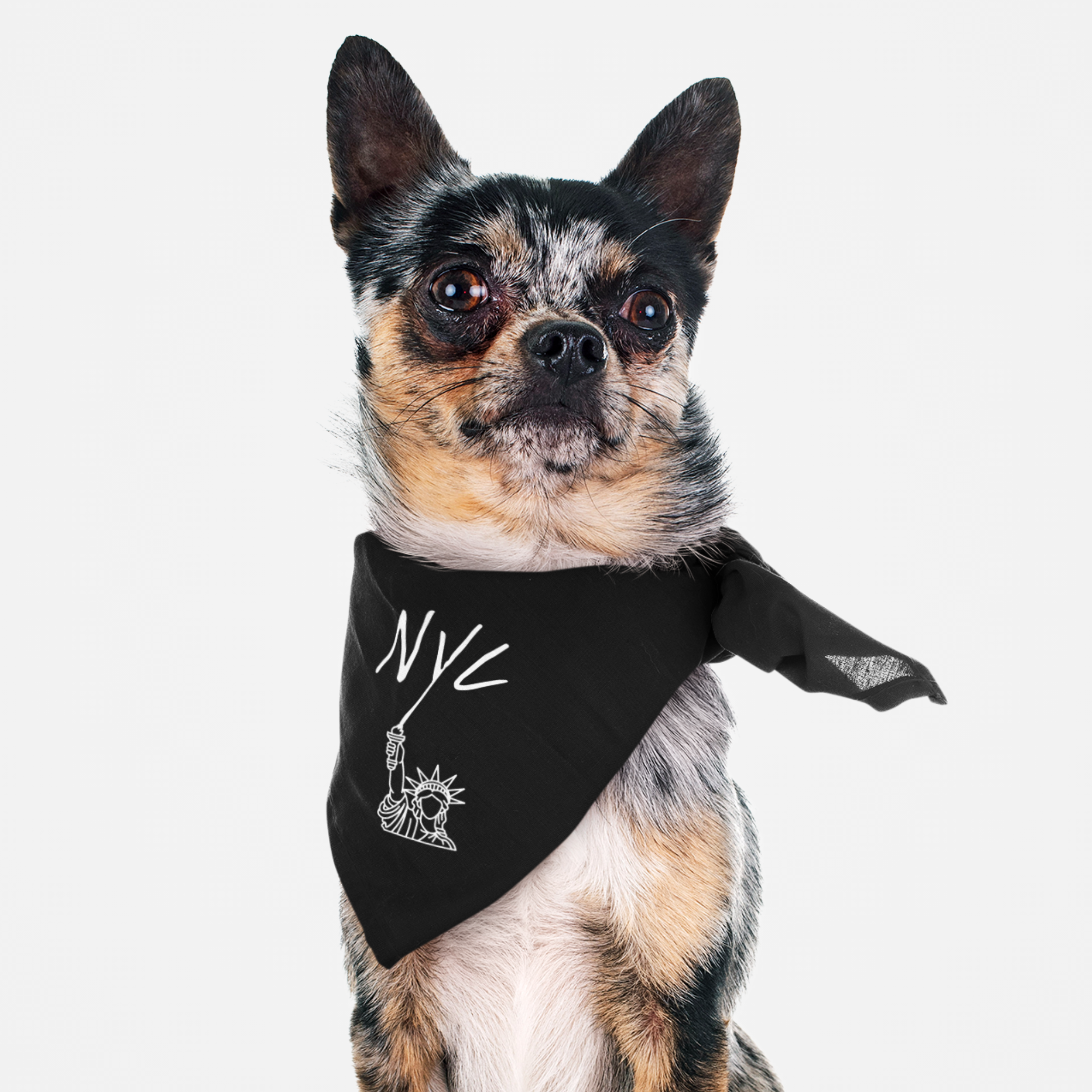 Dog wearing black New York City bandana featuring a Statue of Liberty graphic with NYC text.