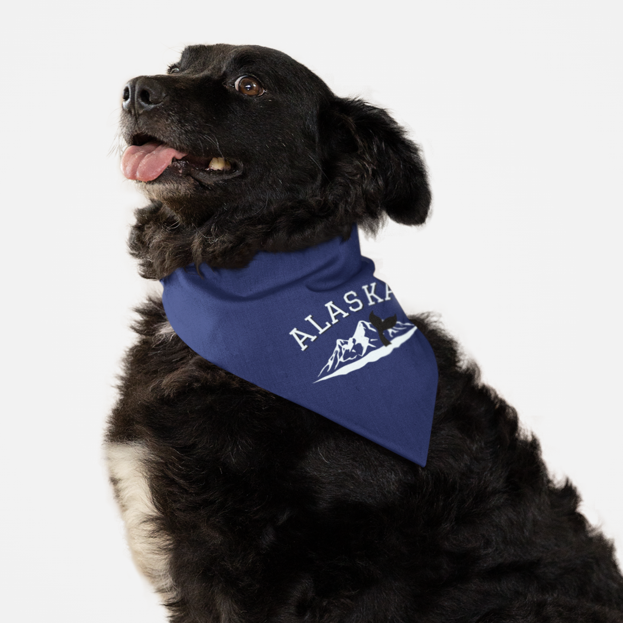 Dog wearing blue bandana saying "Alaska" along with a mountain and ocean whale graphic.