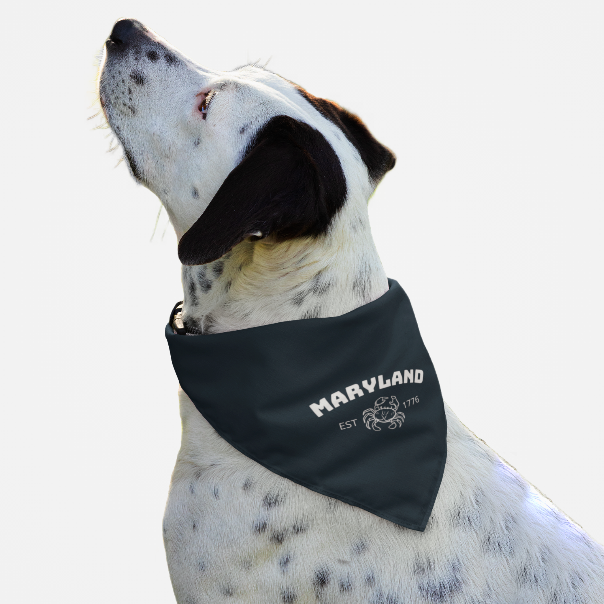 Dog wearing blue bandana saying "Maryland" along with a crab graphic.