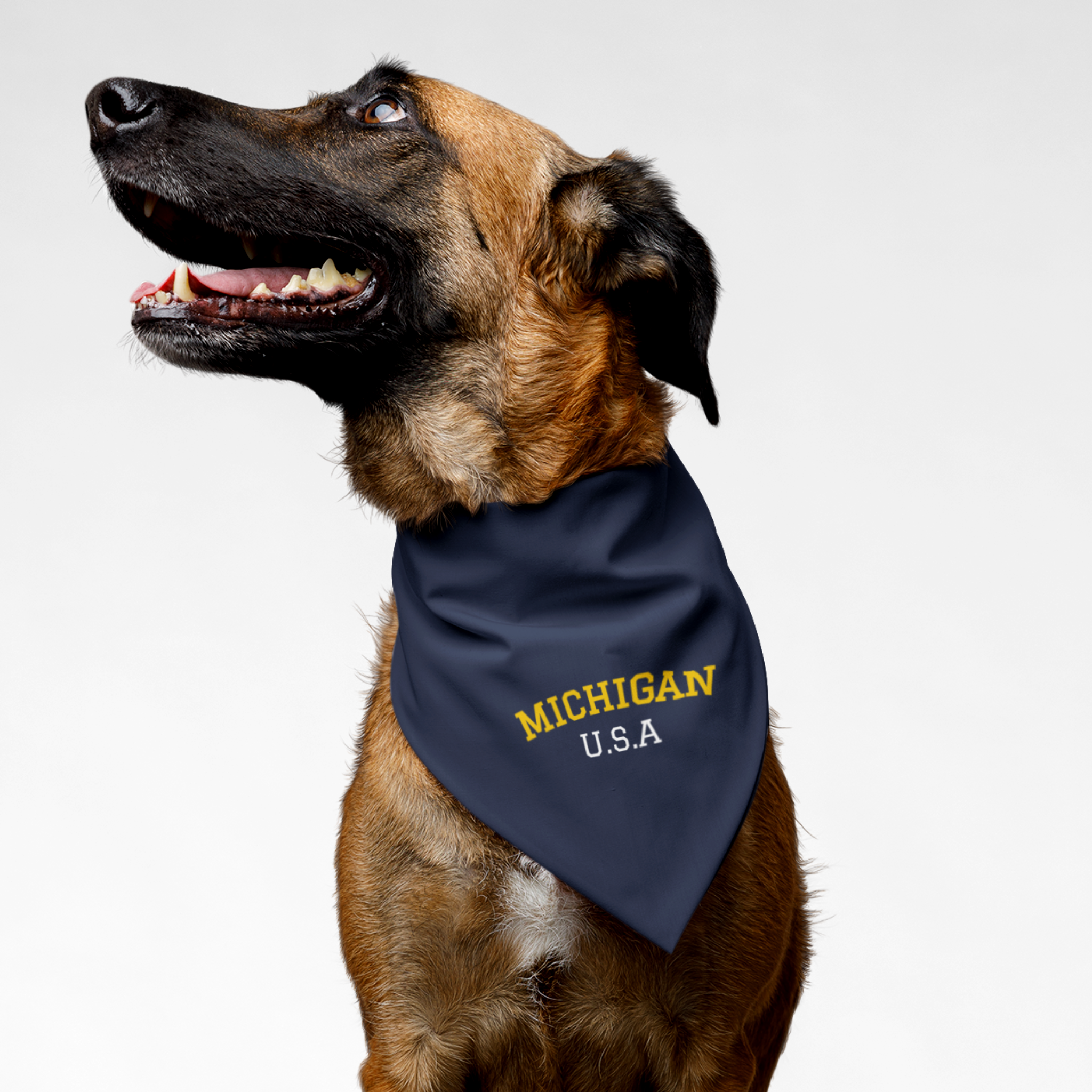 Dog wearing blue bandana saying Michigan USA.