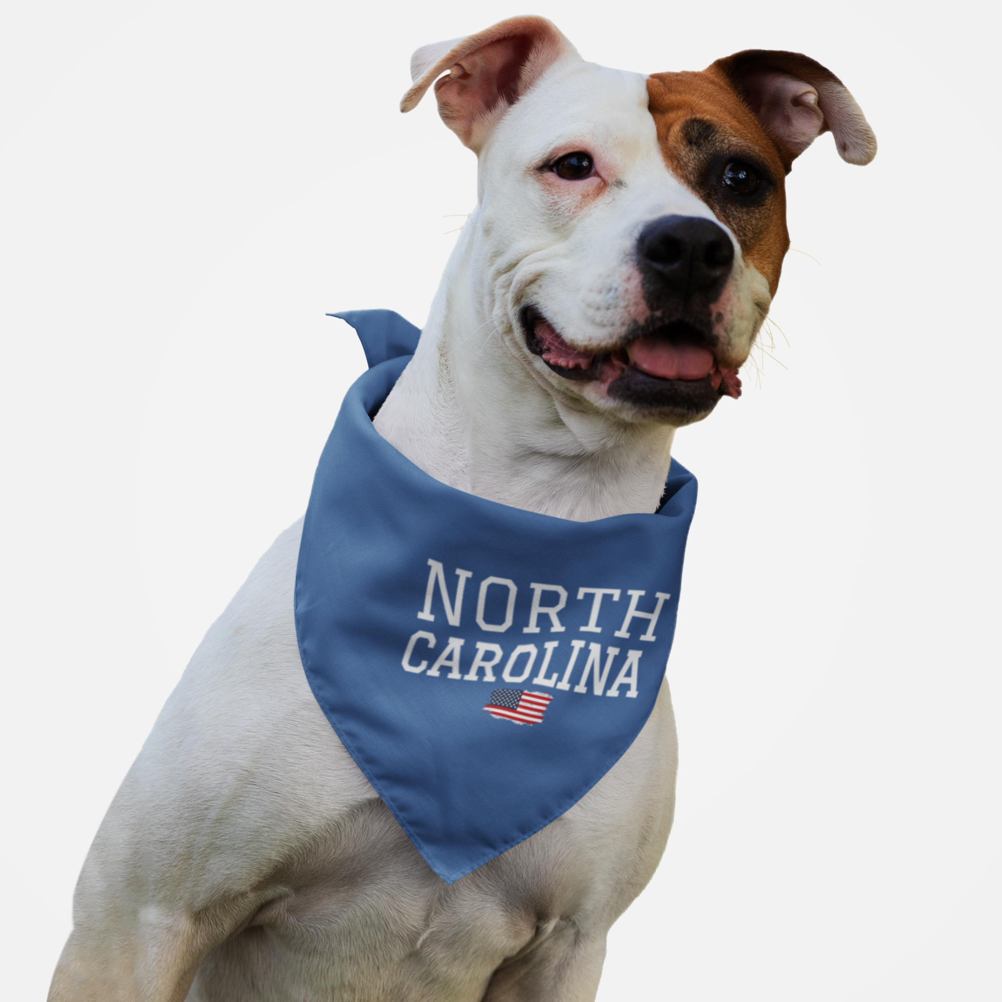 Dog wearing blue bandana saying "North Carolina" in varsity font along with USA flag graphic underneath.