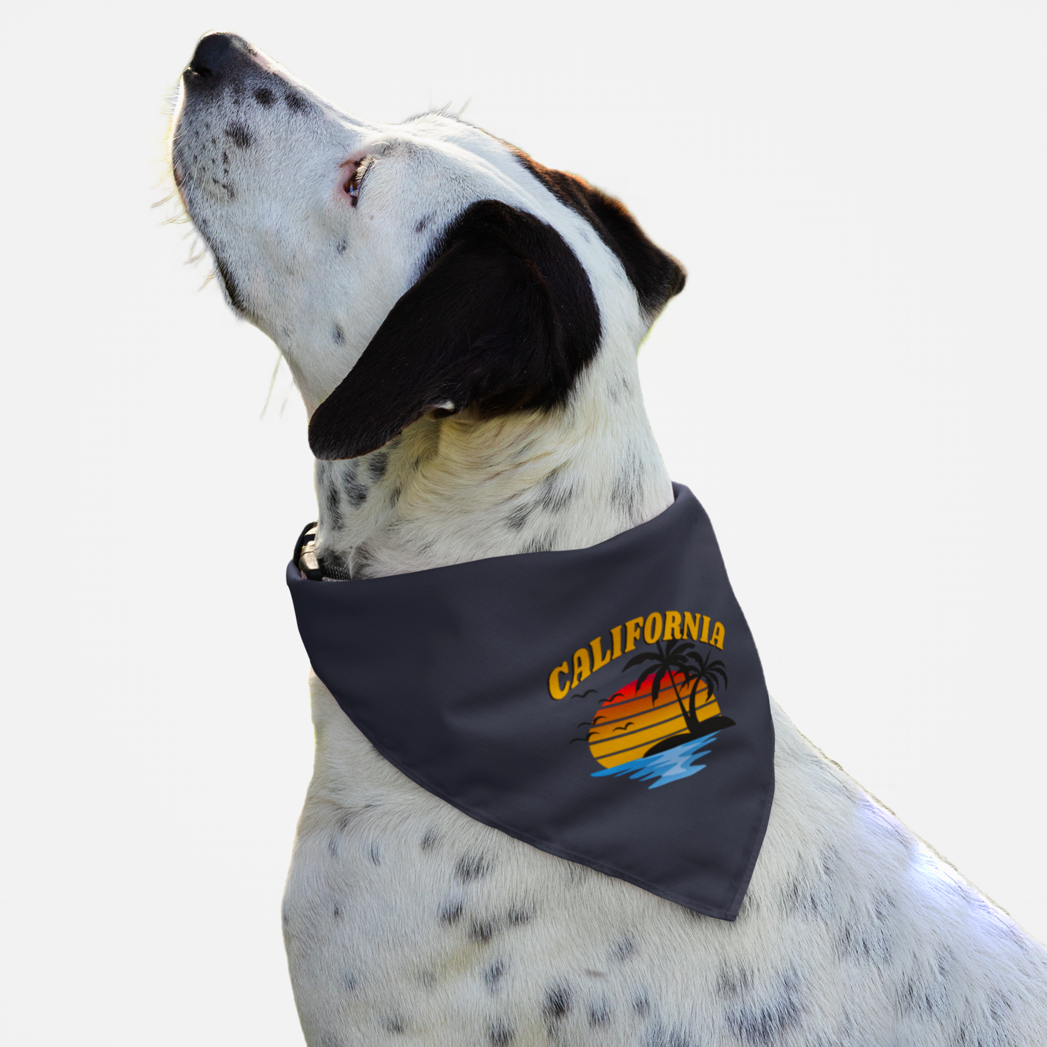 Dog wearing blue bandana with a retro beach sunset graphic saying California.