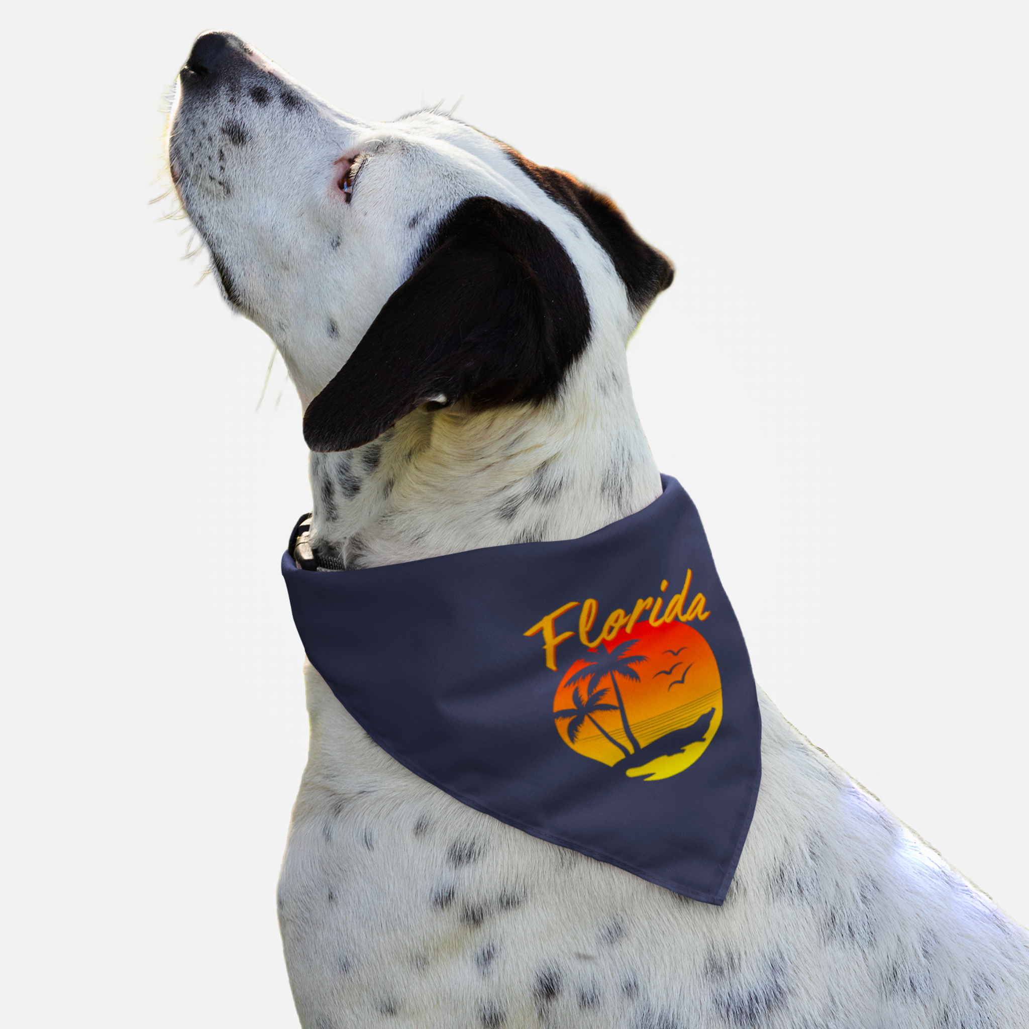 Dog wearing blue Florida bandana featuring a beach sunset graphic.