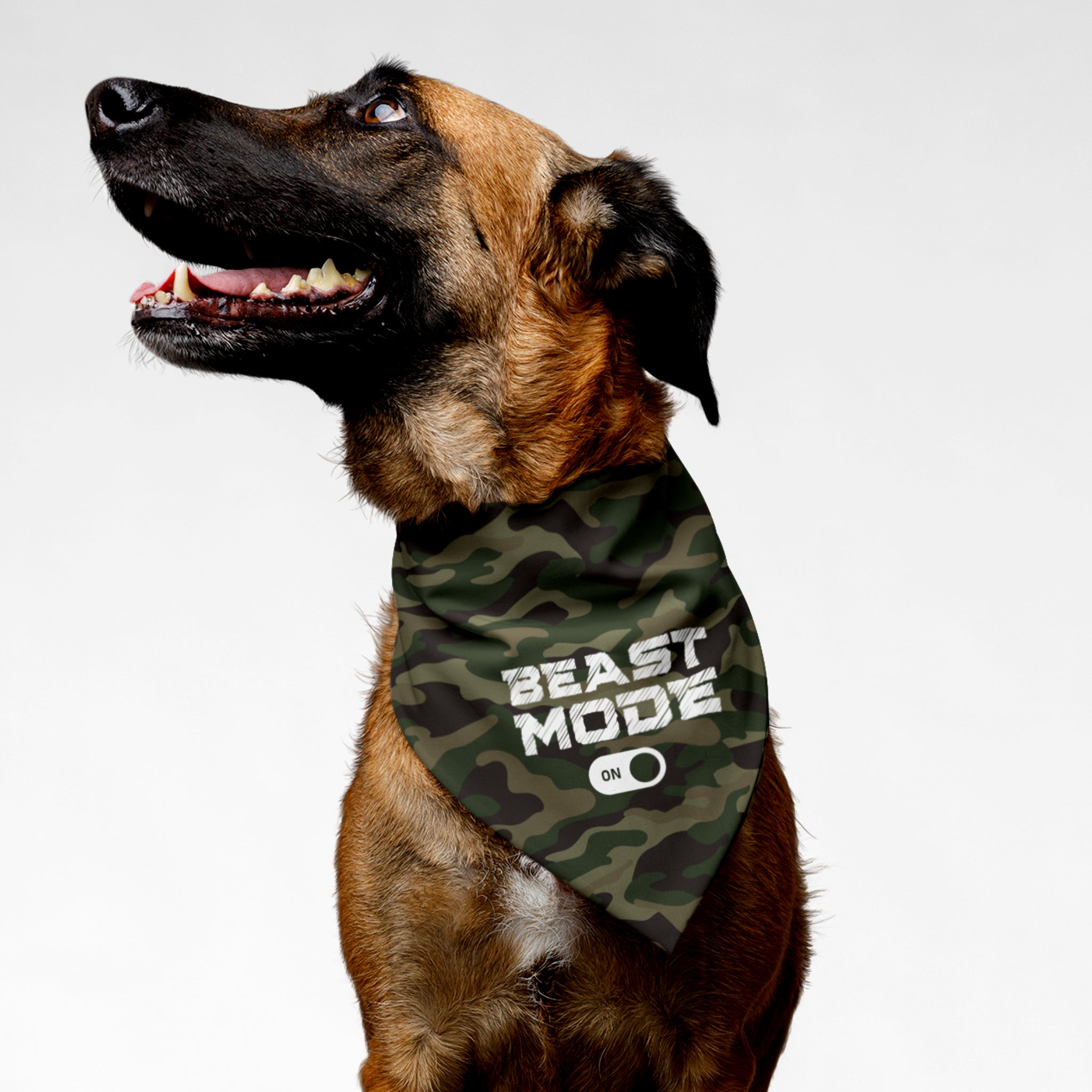 Dog wearing camo bandana saying Beast Mode On.