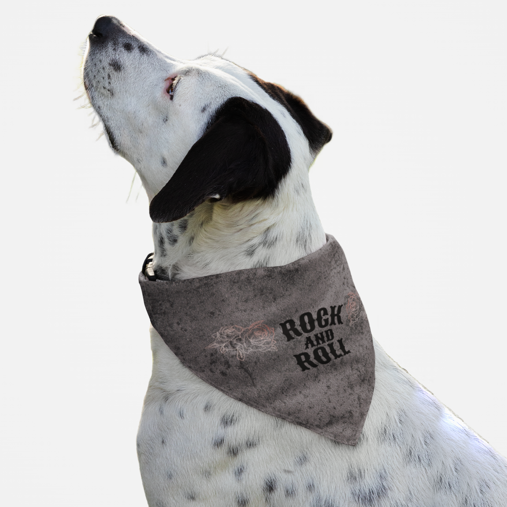 Dog wearing cool retro bandana with roses graphics saying Rock And Roll.