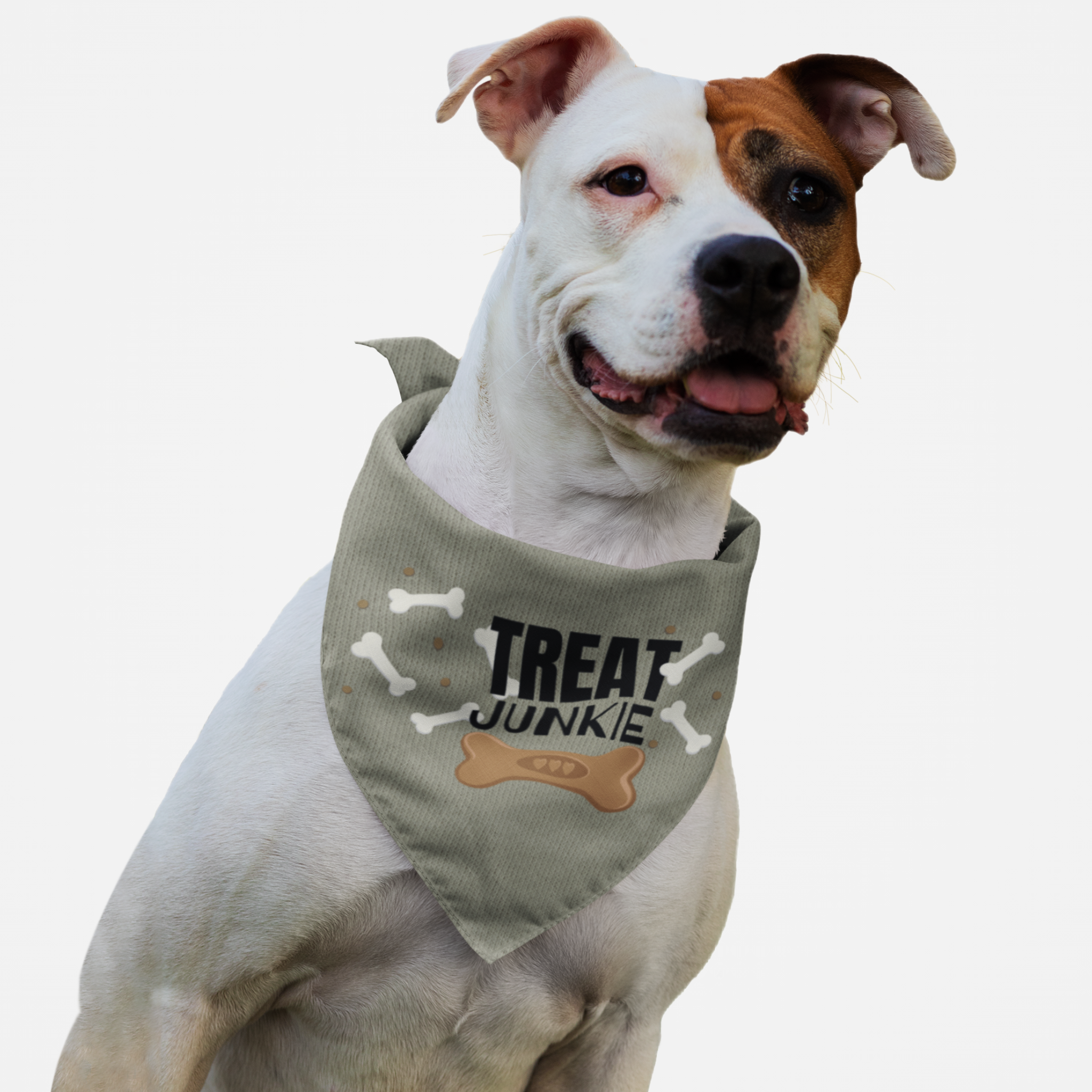 Dog wearing cute and funny scarf with bones graphics saying Treat Junkie.