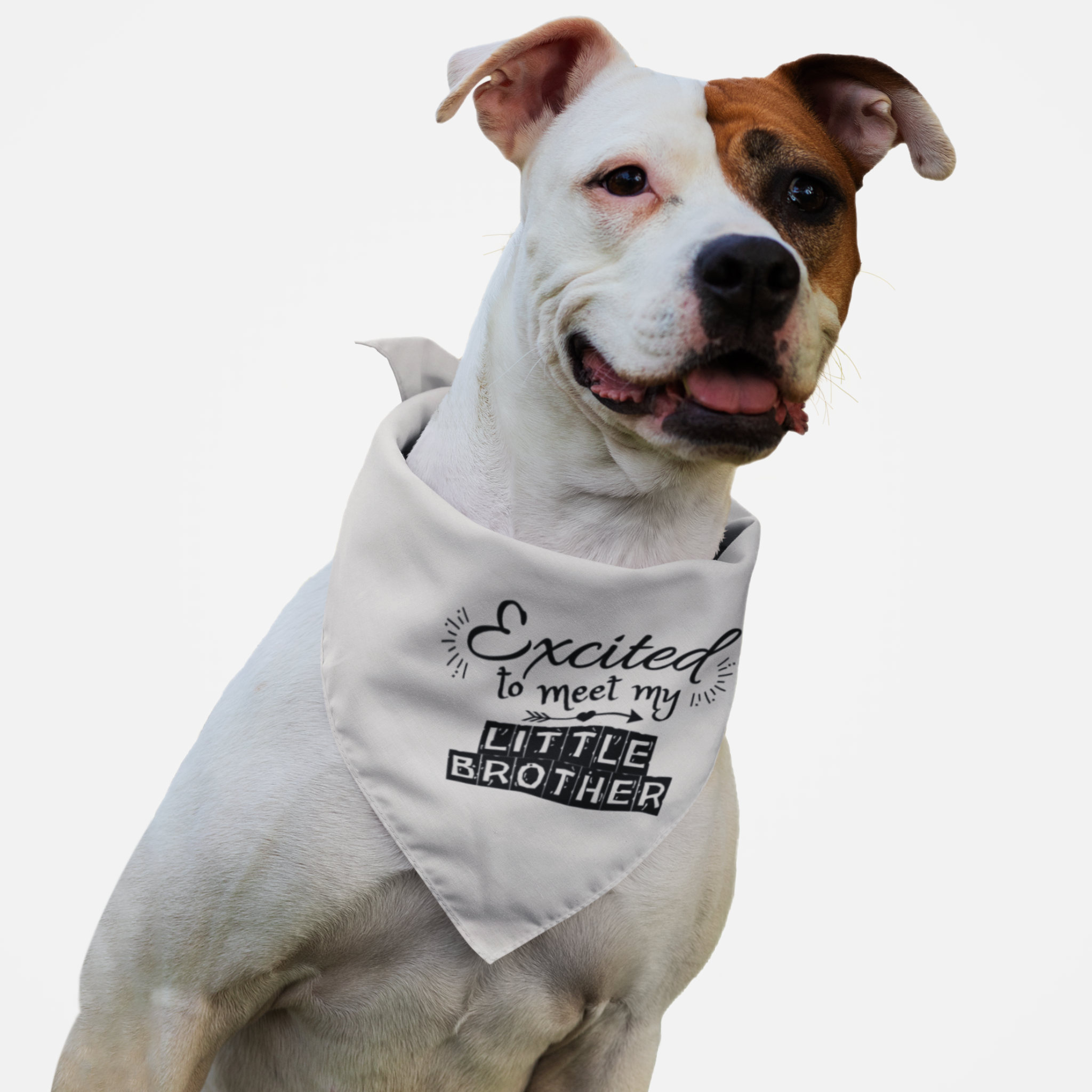 Dog wearing cute bandana announcing pregnancy with "Excited to Meet My Little Brother" quote.