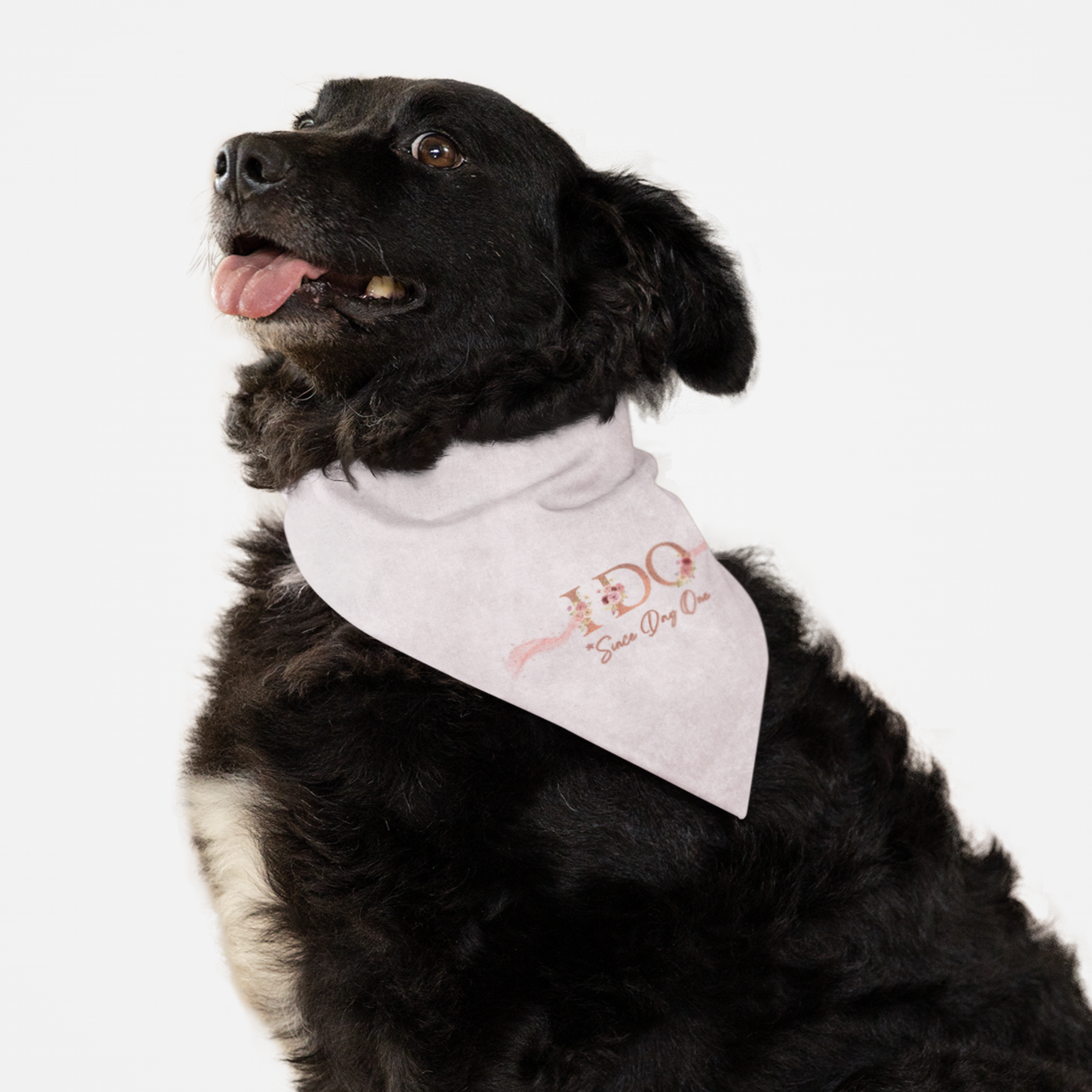 Dog wearing cute bandana for wedding saying "I Do. Since Day One."