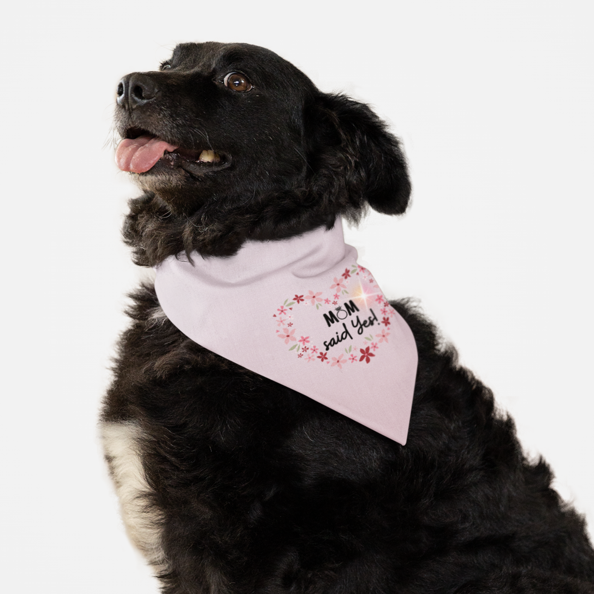 Dog wearing cute bandana for wedding with flower heart frame graphic saying "Mom said 'Yes!'"