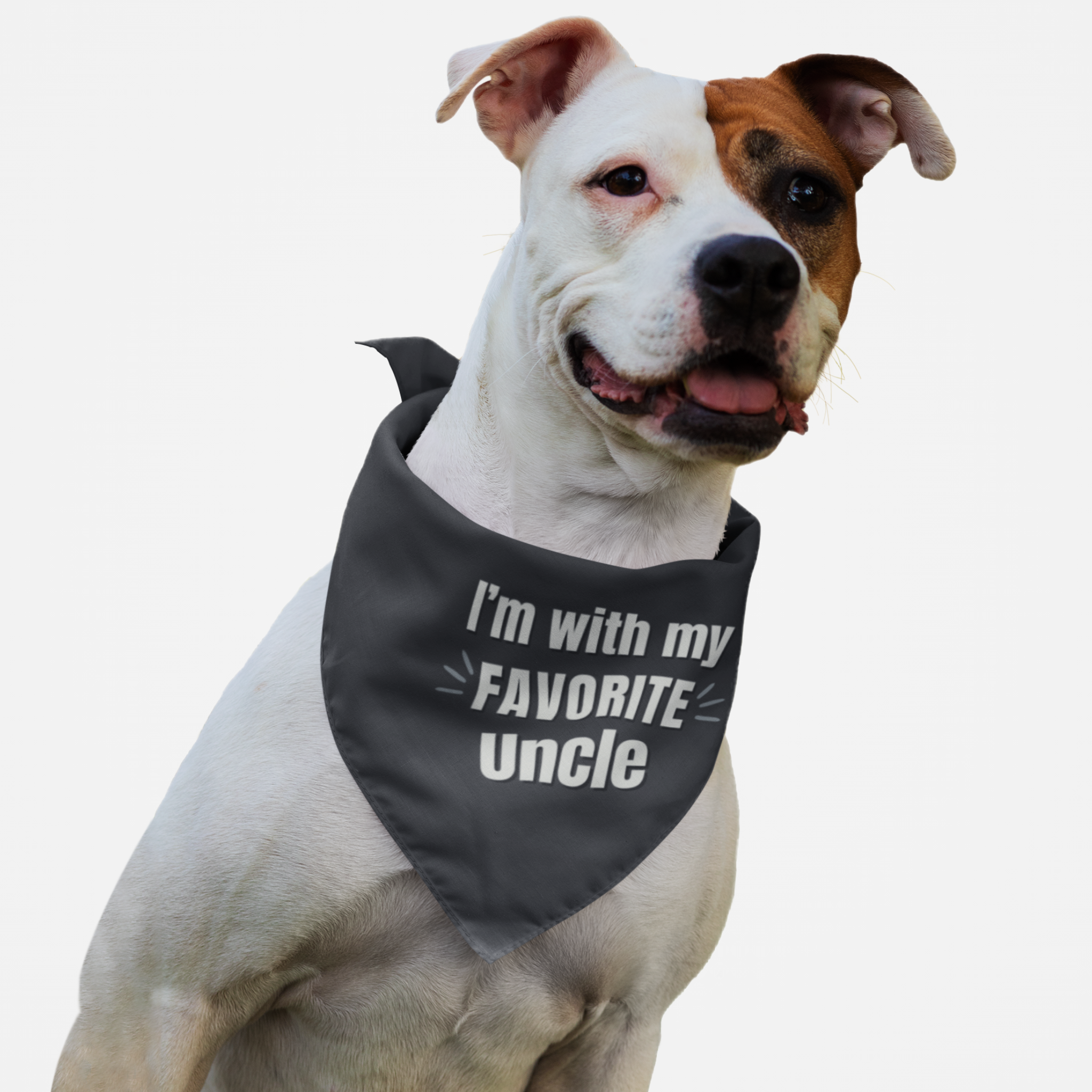 Dog wearing cute bandana saying I'm With My Favorite Uncle.