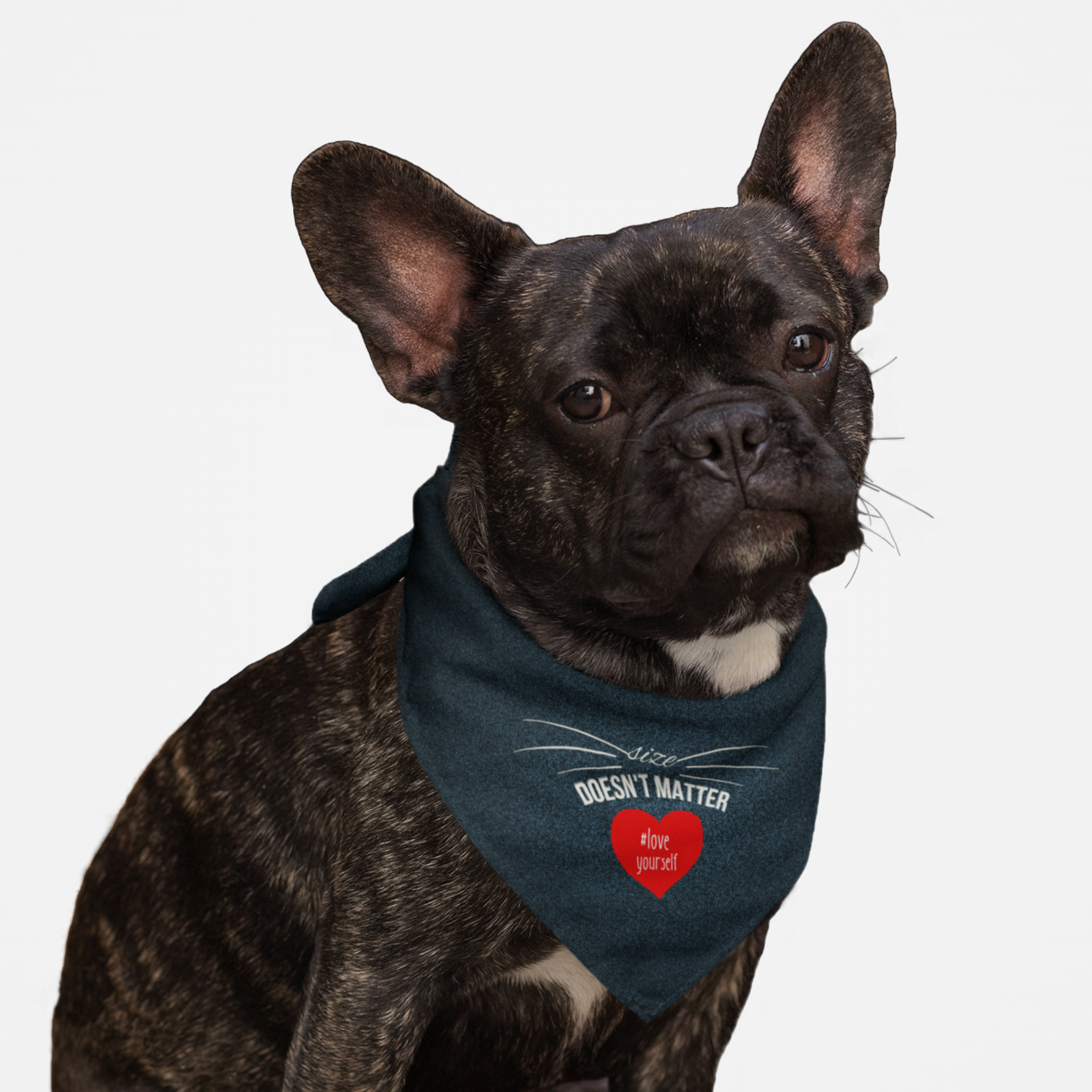 Dog wearing cute bandana with blue rough texture print effect saying "Size Doesn't Matter. Love Yourself."