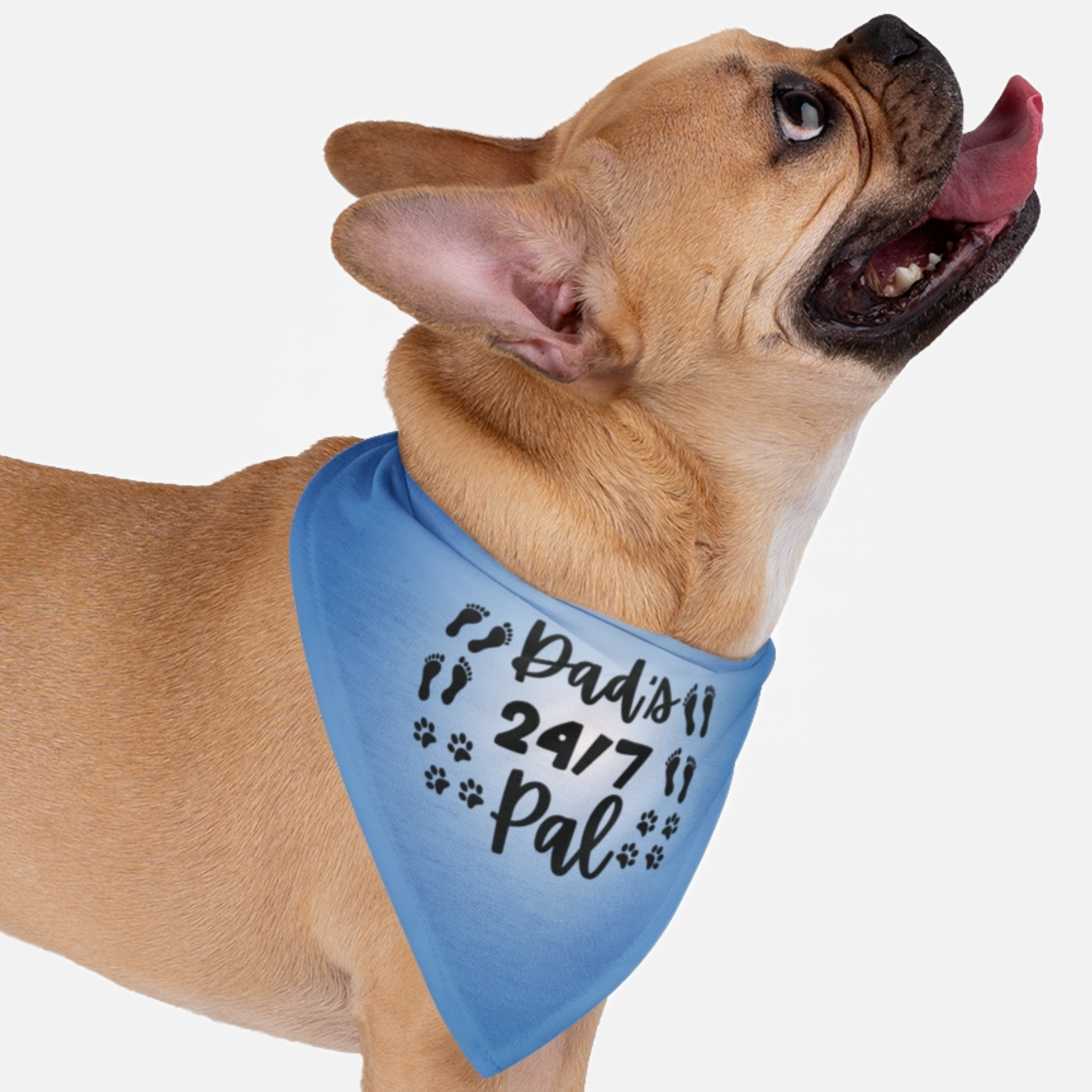 Dog wearing cute blue bandana saying "Dad's 24/7 Pal."