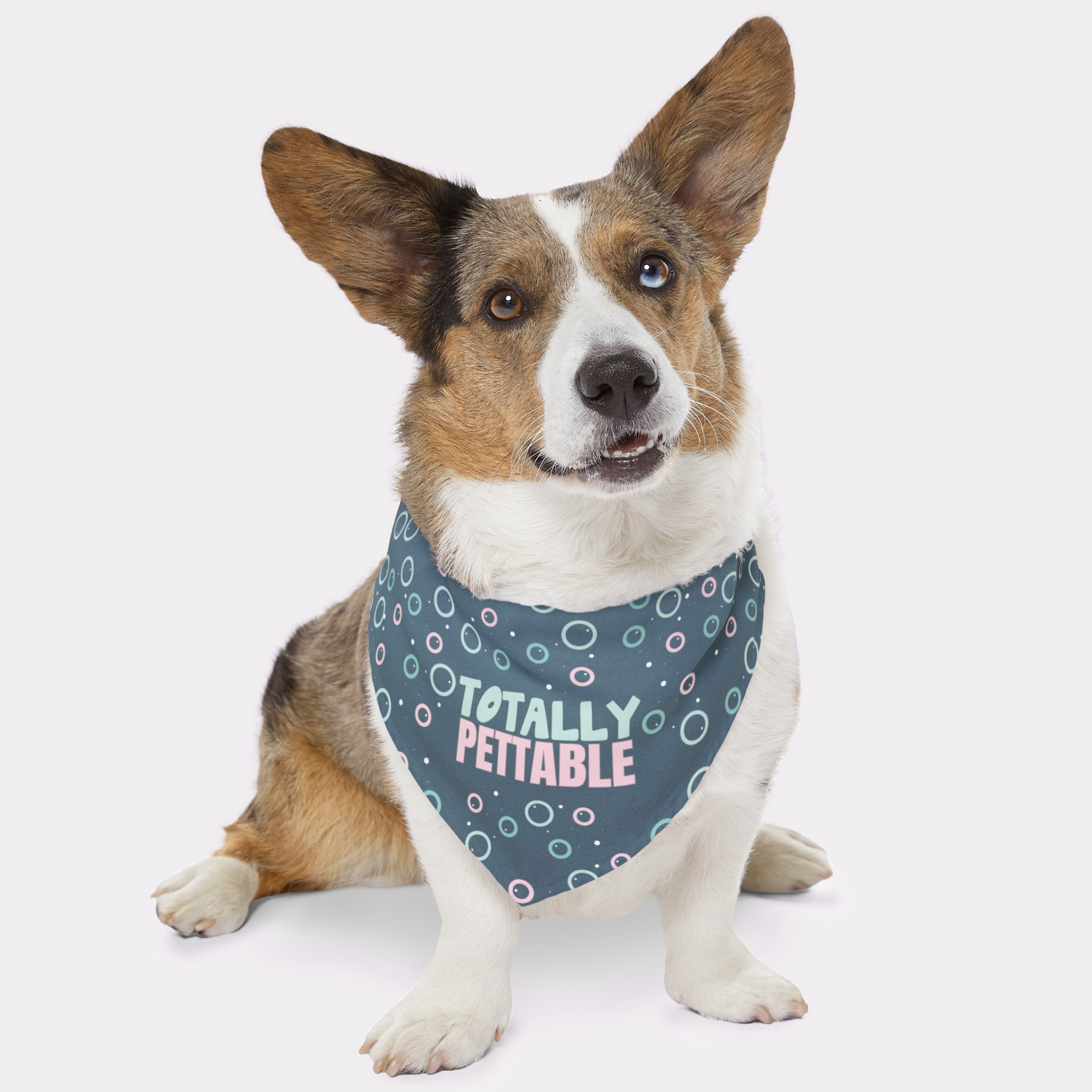 Dog wearing cute blue bandana with bubbles pattern saying Totally Pettable.