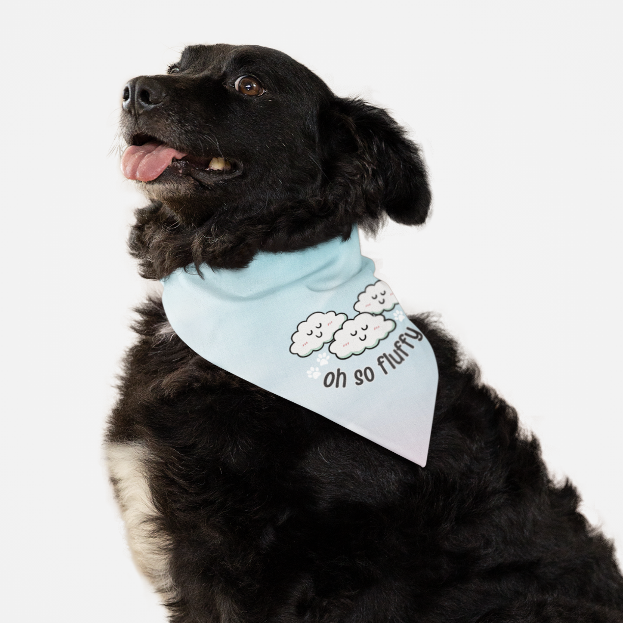 Dog wearing cute blue bandana with clouds graphic and "Oh So Fluffy" quote.