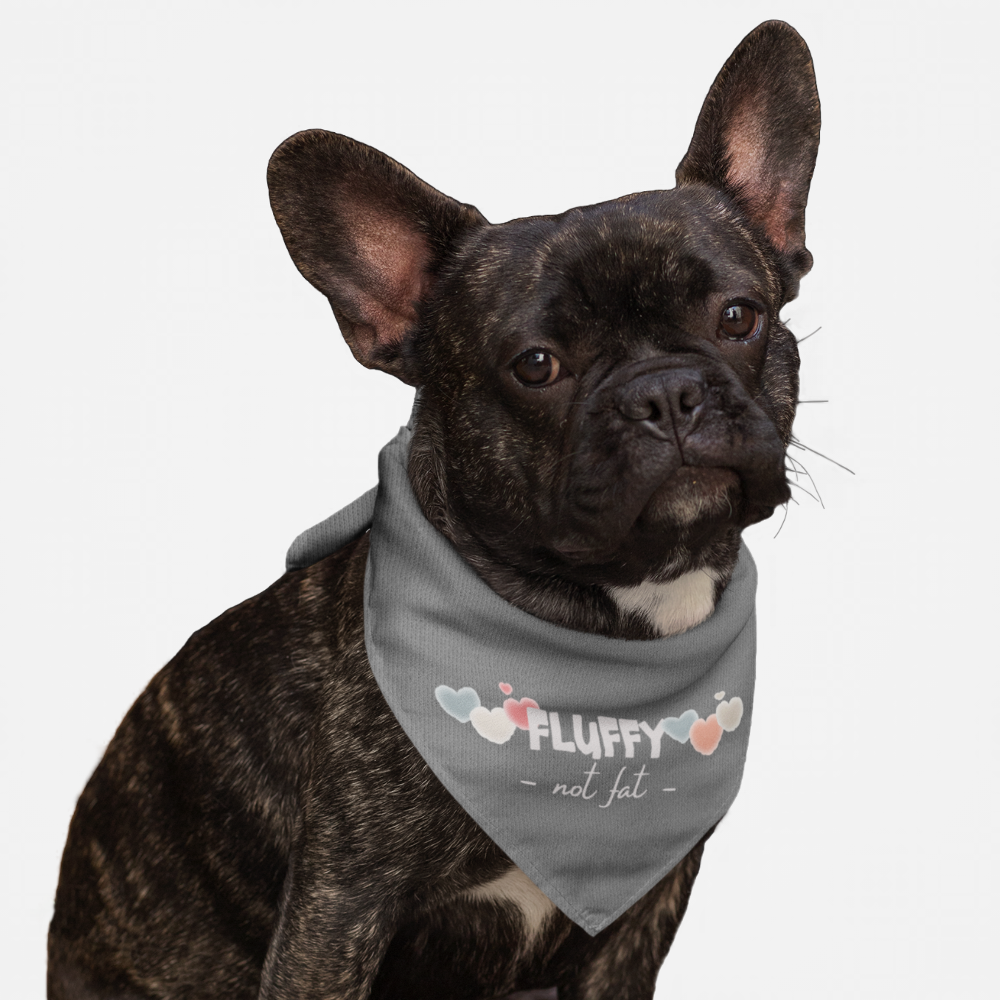 Cute dog wearing gray funny bandana with hearts graphics saying Fluffy Not Fat.