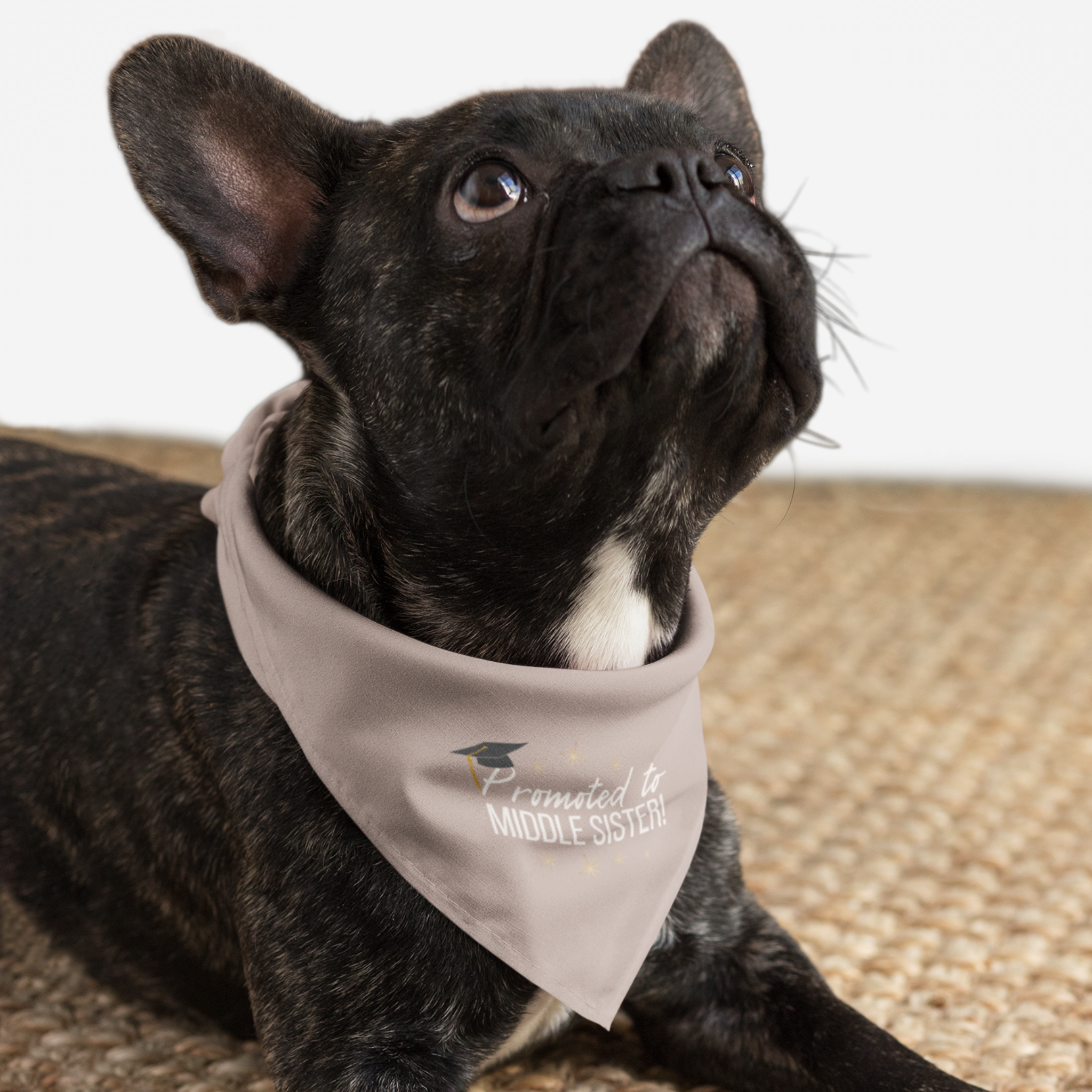 Dog wearing cute pink bandana announcing pregnancy with "Promoted to Middle Sister" quote.