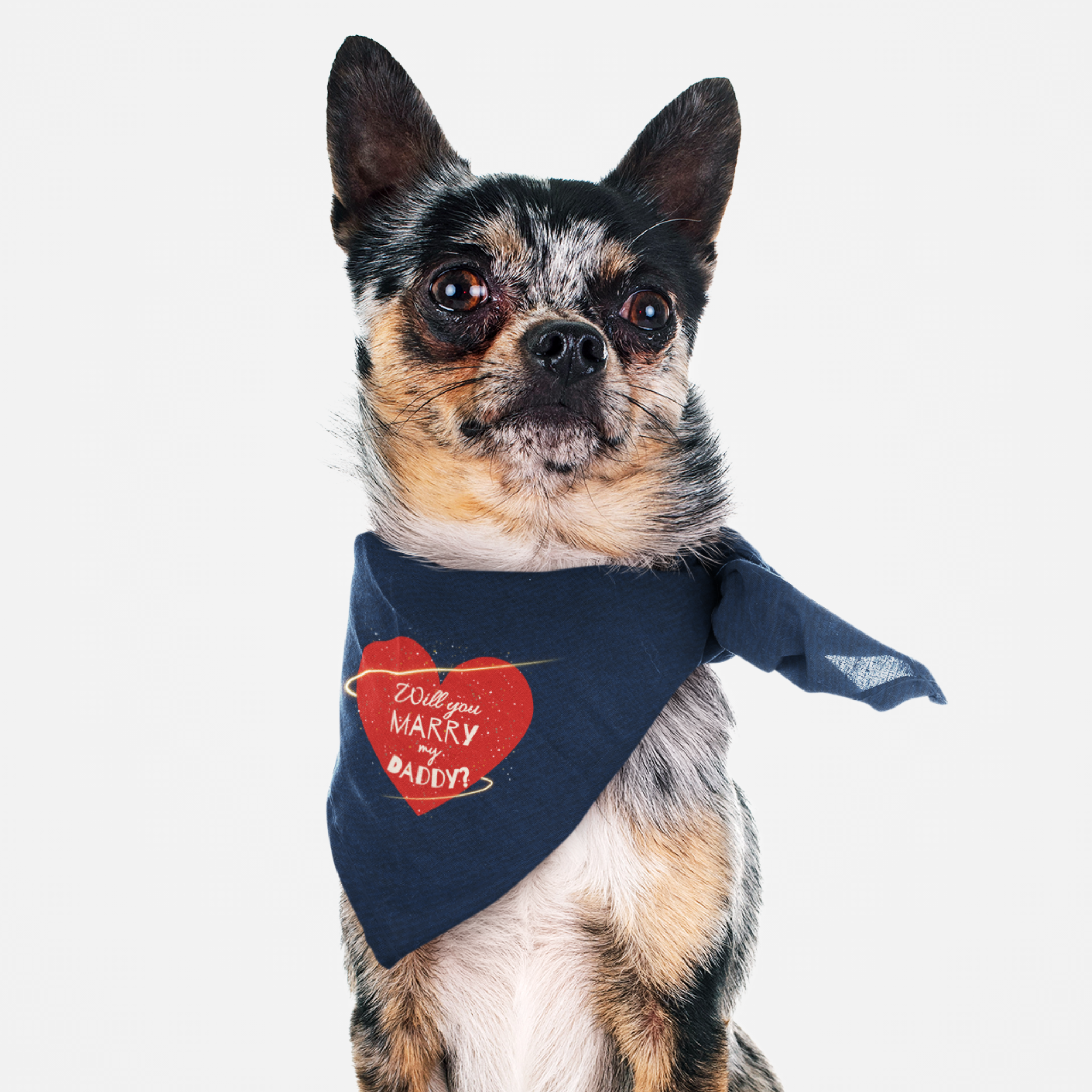 Dog wearing cute proposal bandana with denim style print and red heart graphic saying "Will You Marry My Daddy?"