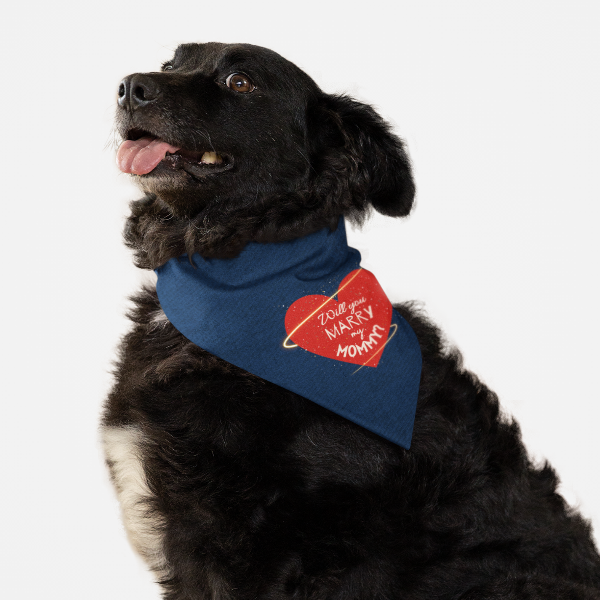 Dog wearing cute proposal bandana with denim style print and red heart graphic saying "Will You Marry My Mommy?"