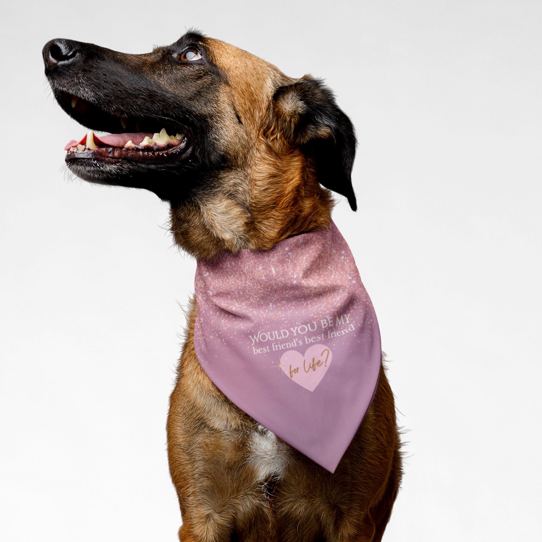 Dog wearing cute proposal bandana with pink glitter print saying "Would You Be My Best Friend's Best Friend For Life?"