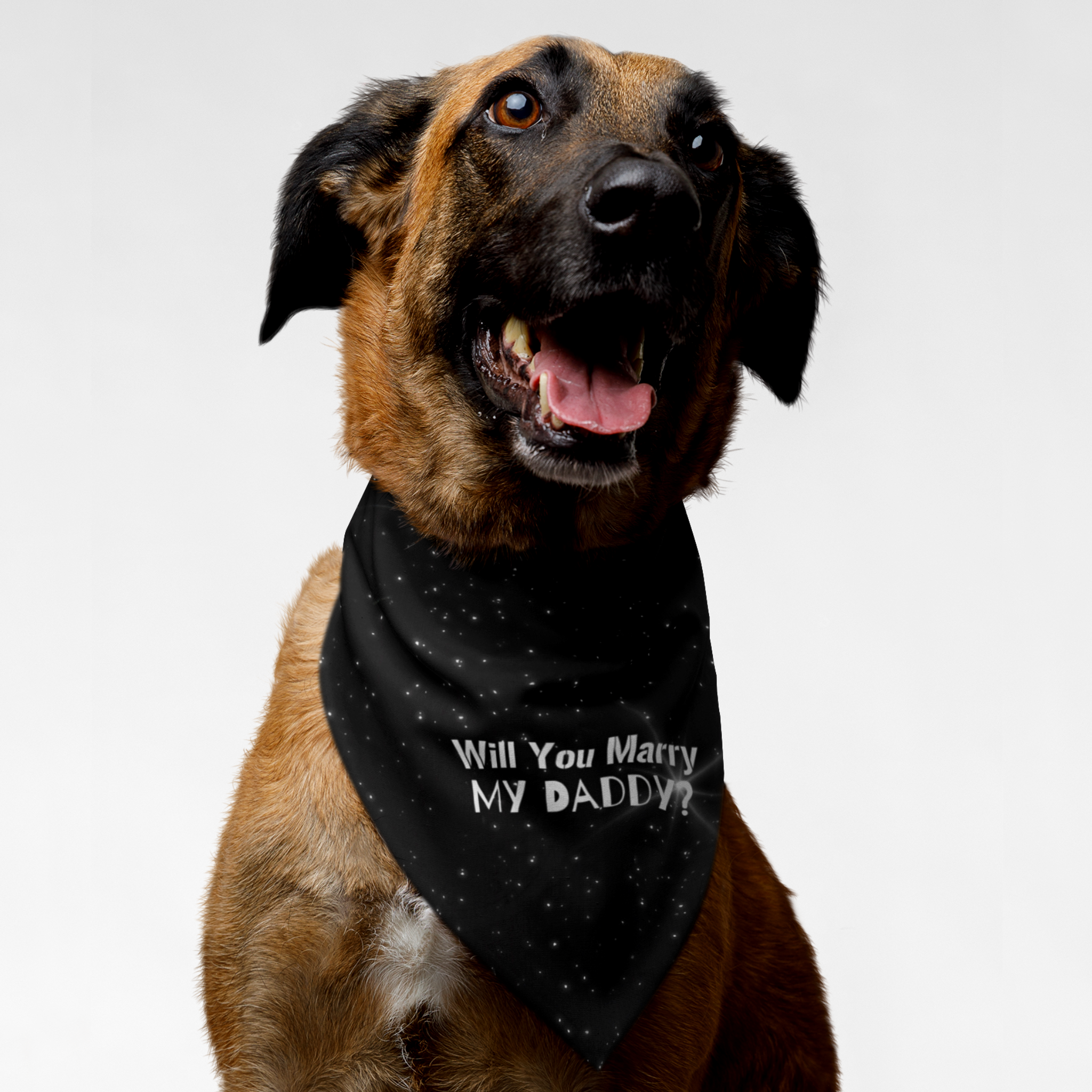 Dog wearing cute proposal bandana featuring shining particles print and "Will You Marry My Daddy?" quote.