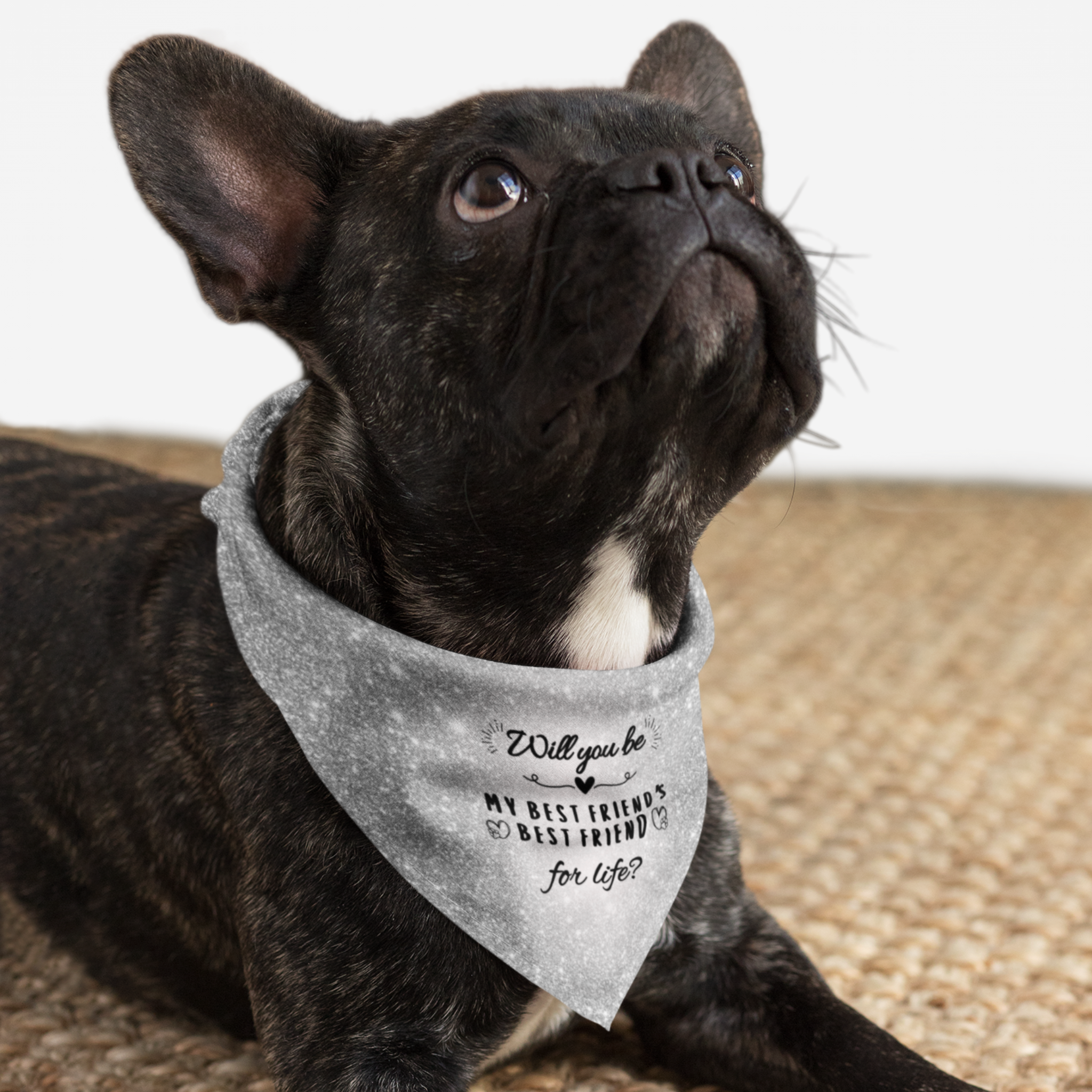 Dog wearing cute proposal bandana with silver glitter print saying "Will You Be My Best Friend's Best Friend For Life?"