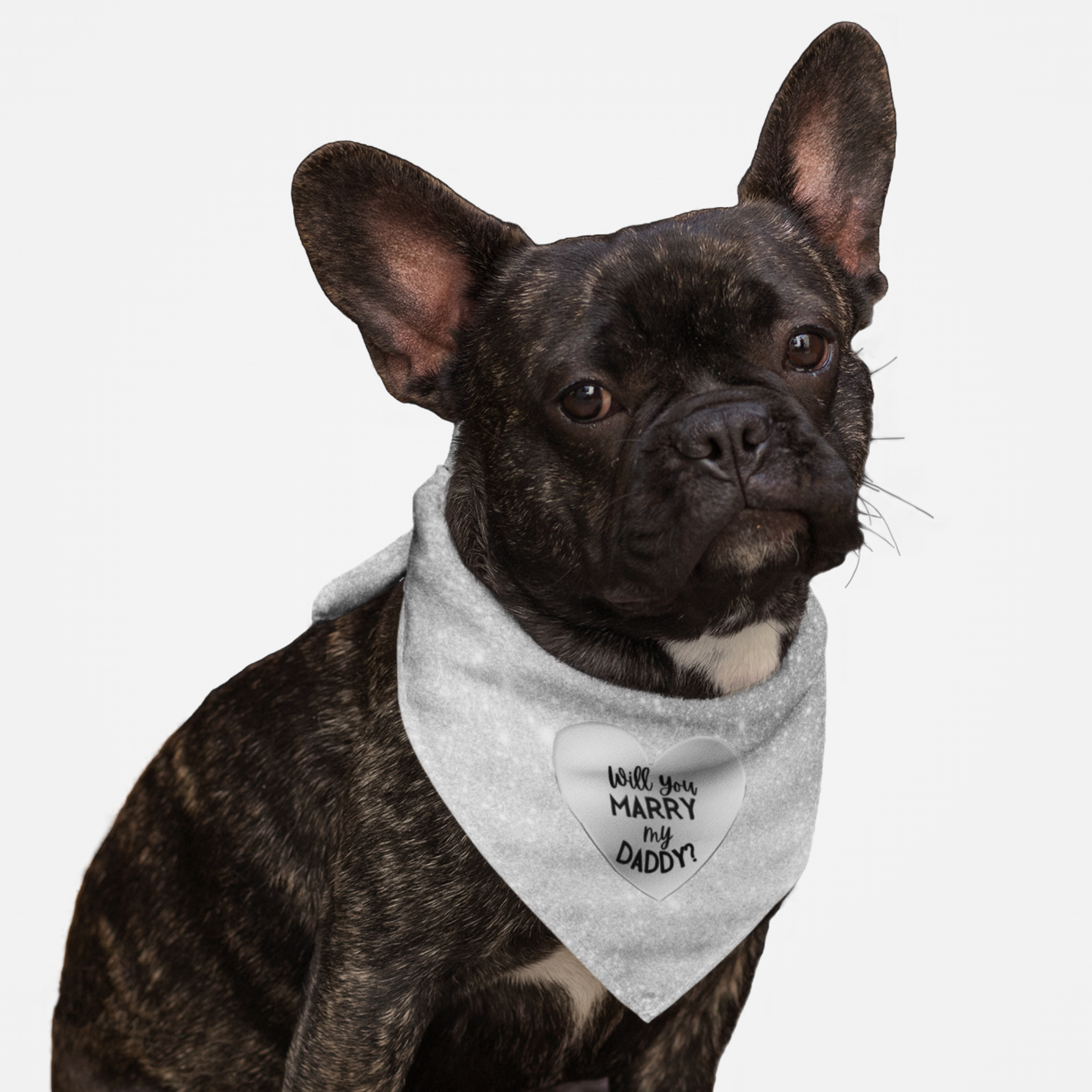 Dog wearing cute proposal bandana with silver glitter print saying Will You Marry My Daddy.