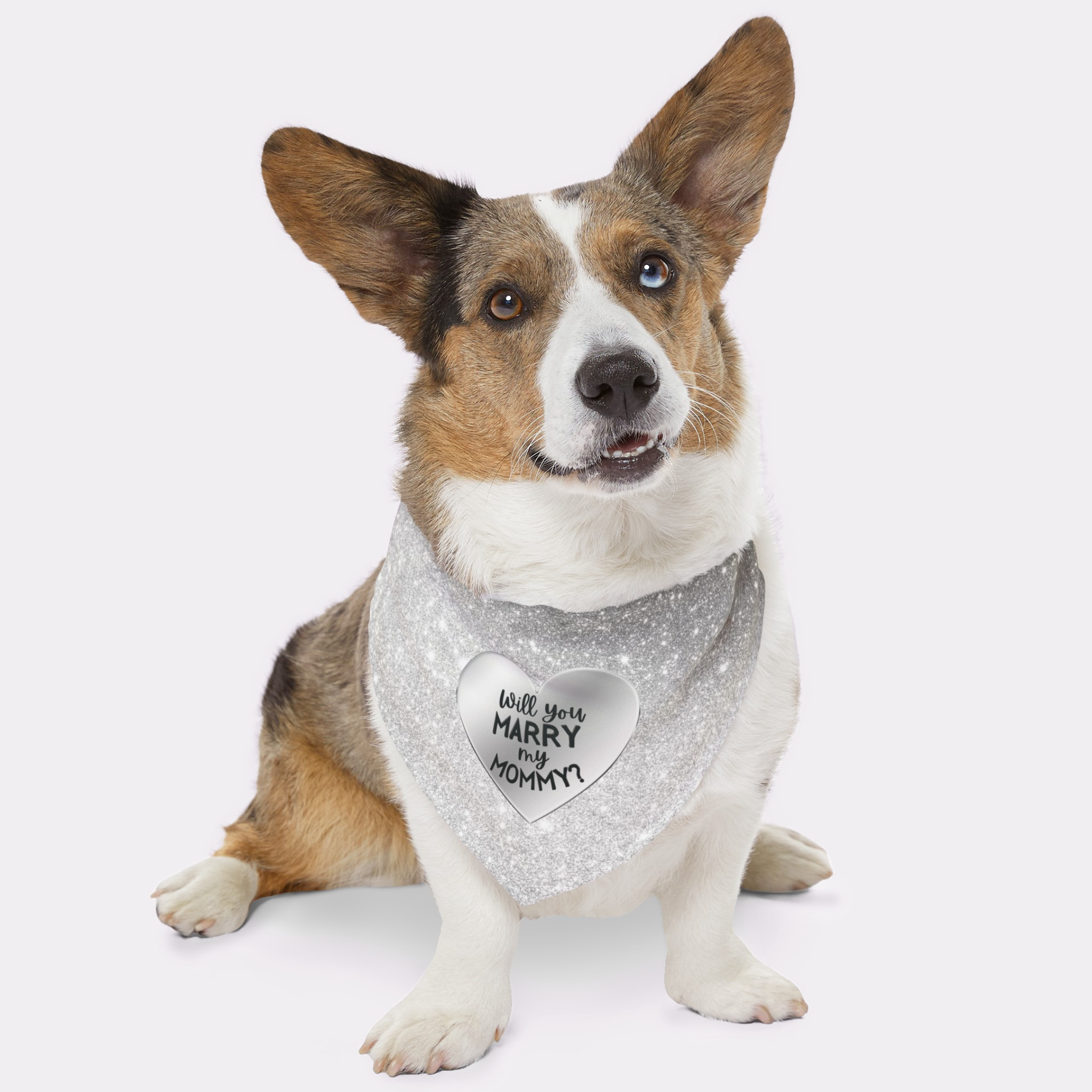 Dog wearing cute proposal bandana with silver glitter print saying Will You Marry My Mommy.